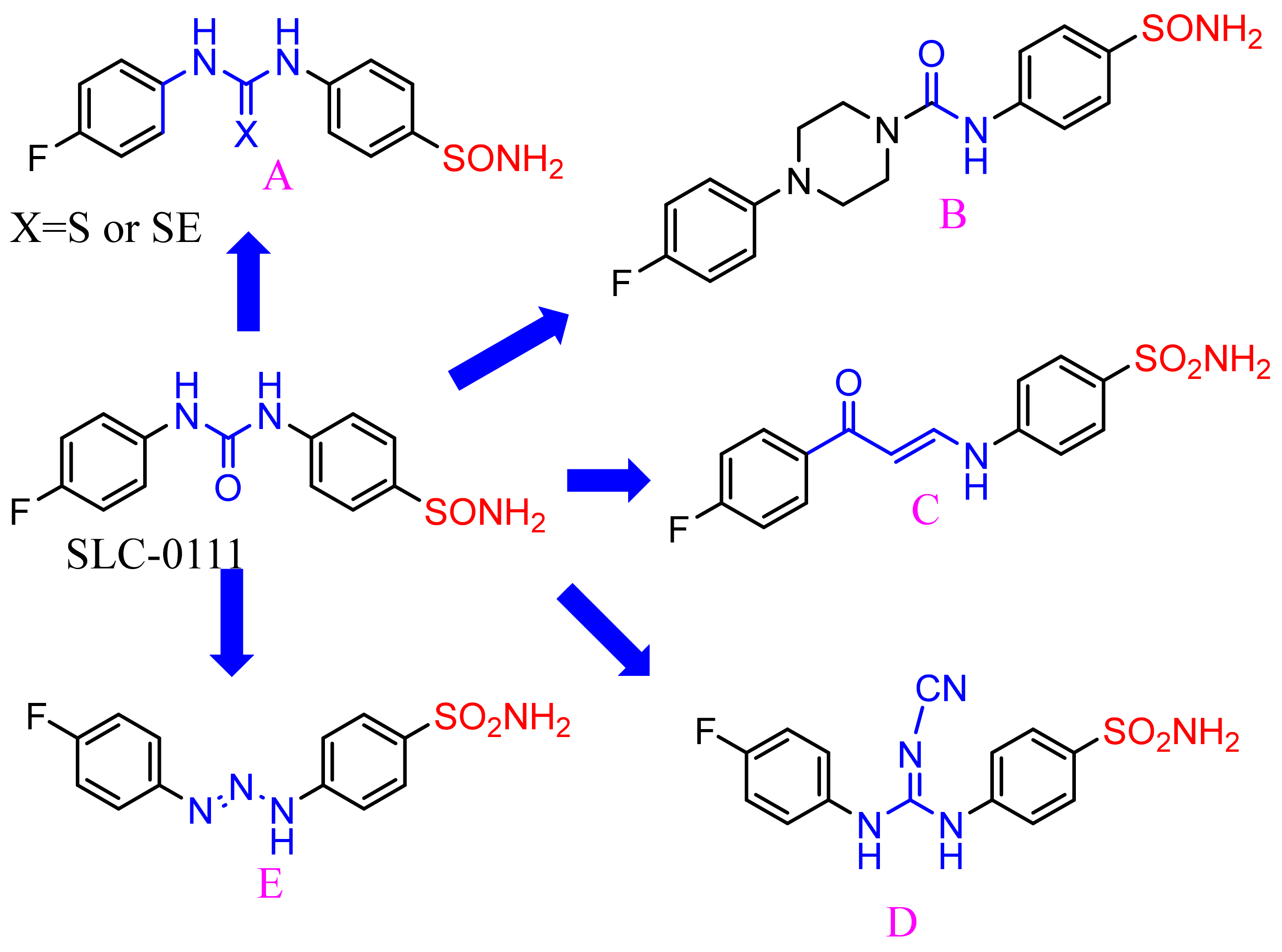 Pharmaceuticals 15 01134 g001