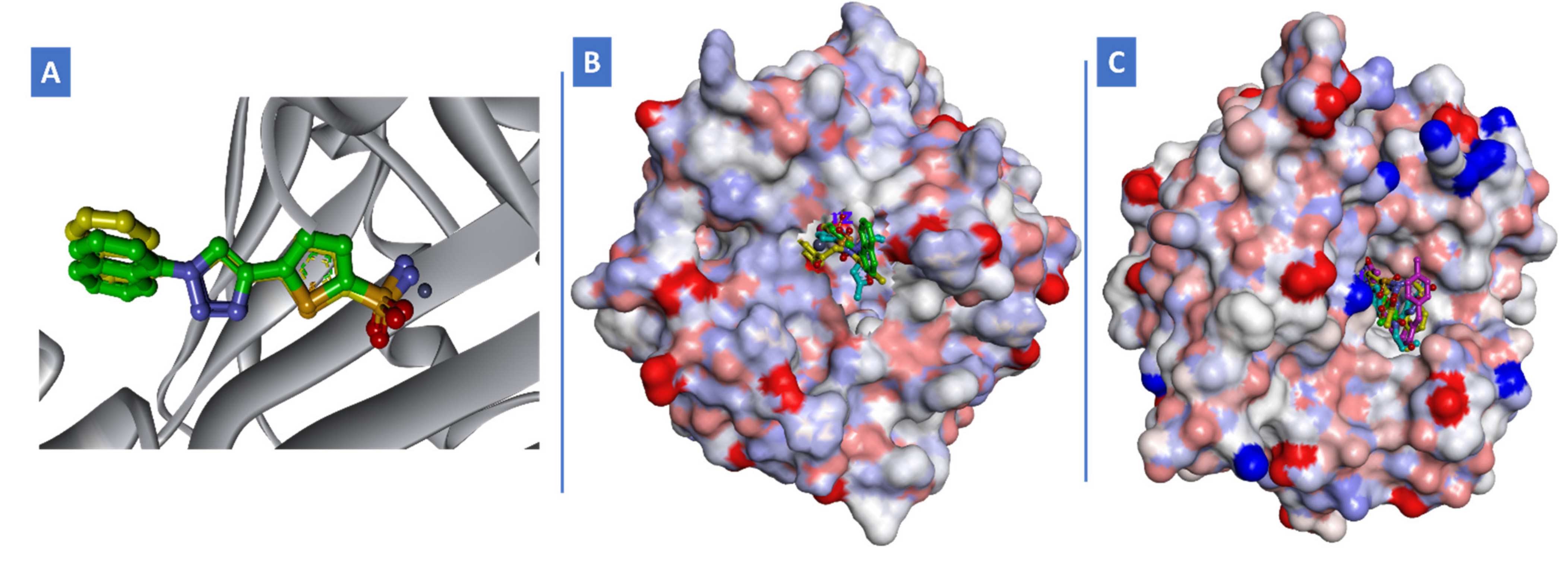 Pharmaceuticals 15 01134 g007