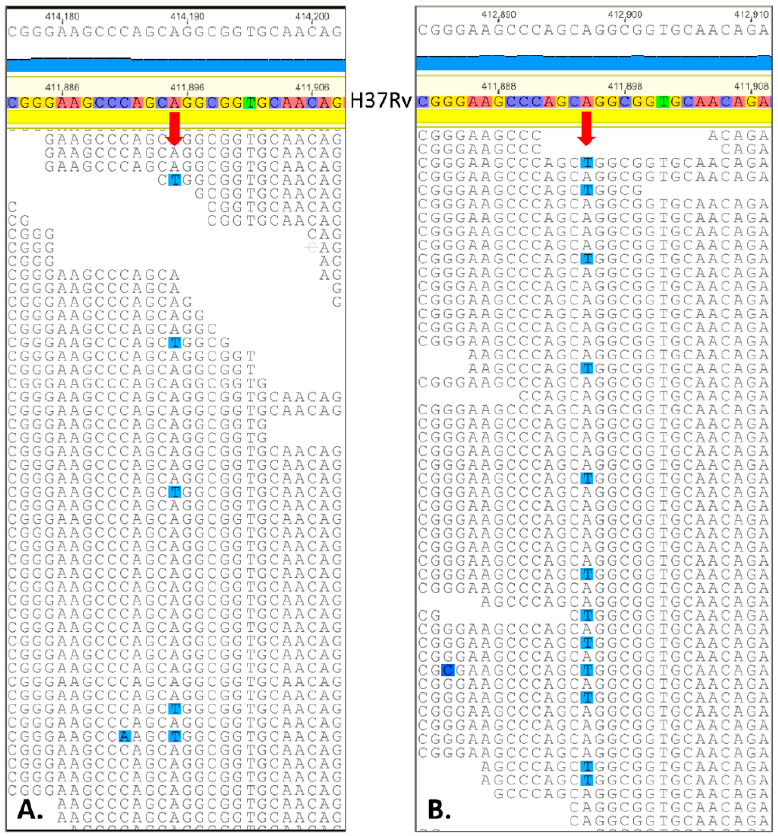 Pharmaceuticals 15 01136 g001 550