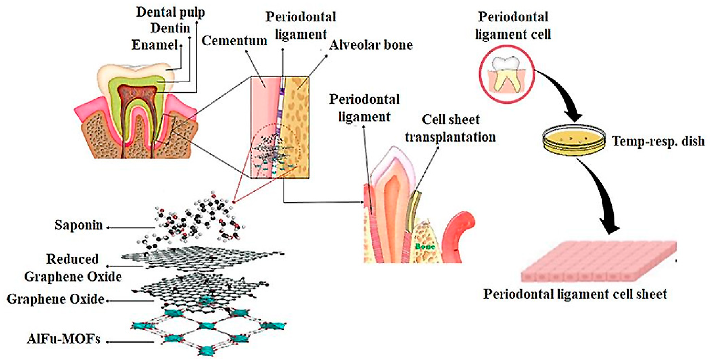Pharmaceuticals 15 01137 g006