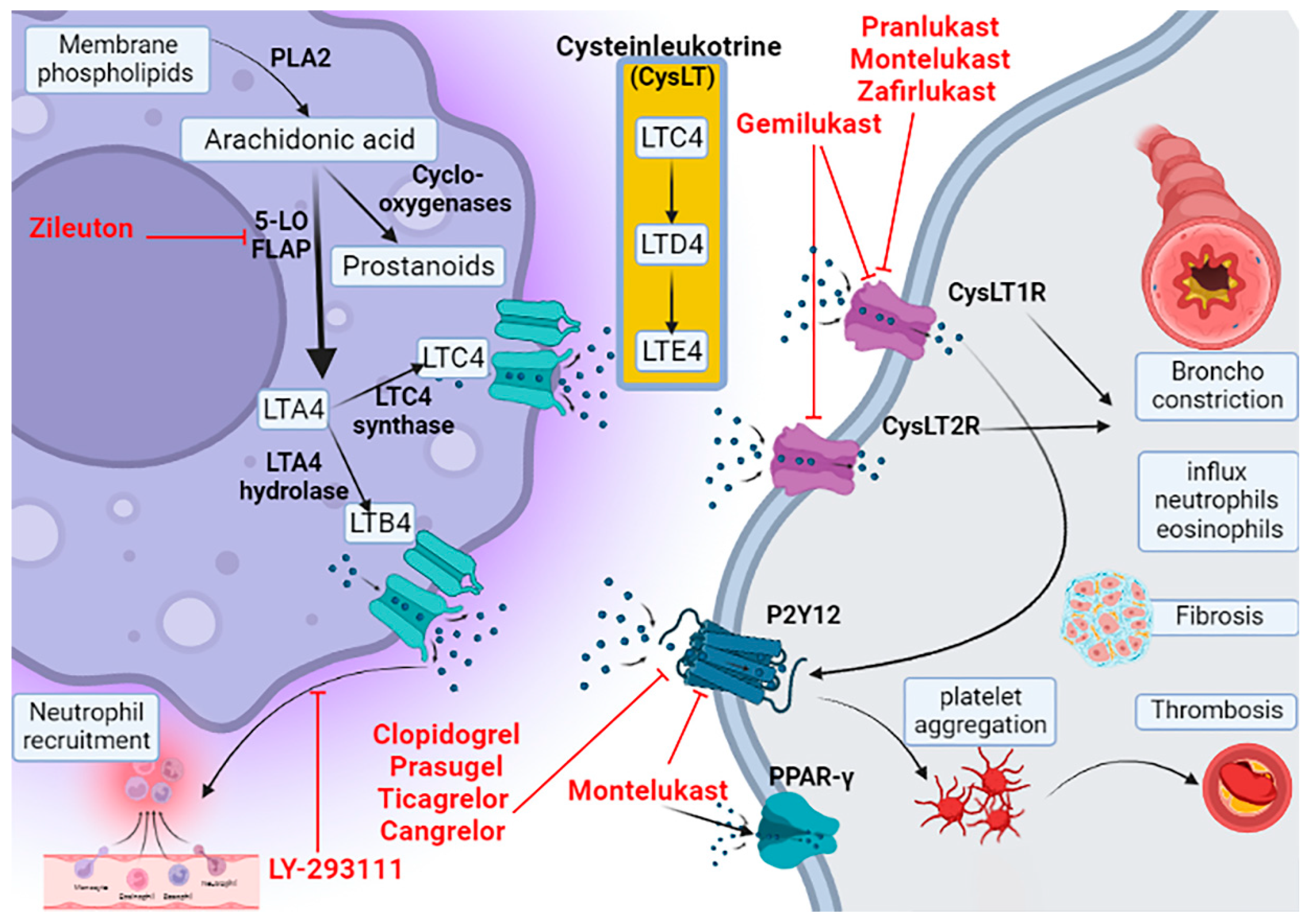 Pharmaceuticals 15 01147 g001 Pharmaceuticals 15 01147 g001