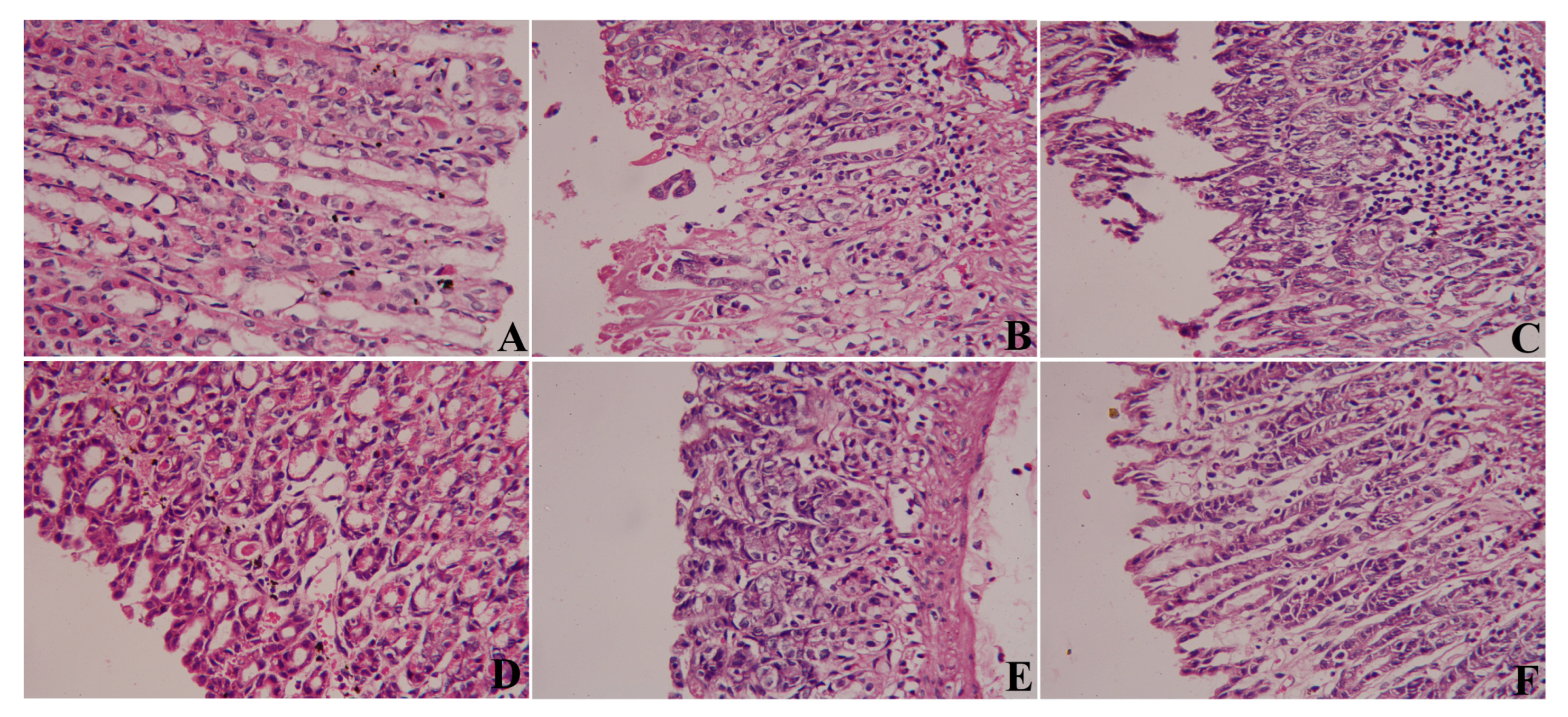 Pharmaceuticals 15 01165 g004