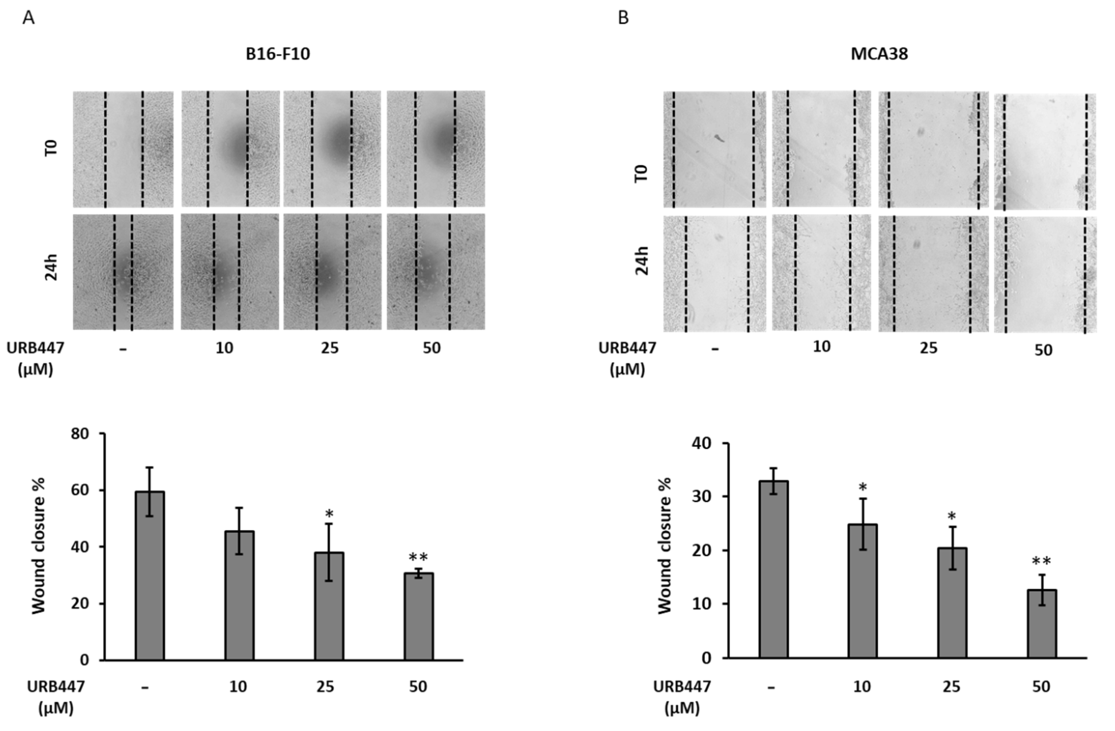 Pharmaceuticals 15 01166 g005 Pharmaceuticals 15 01166 g005