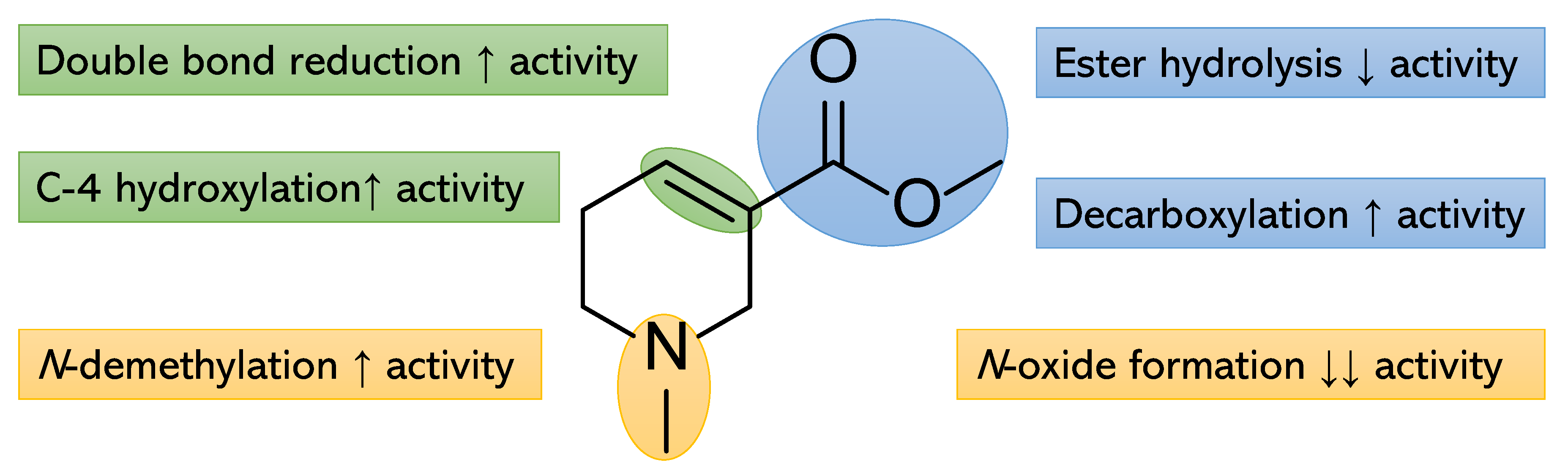 Pharmaceuticals 15 01171 g002 Pharmaceuticals 15 01171 g002