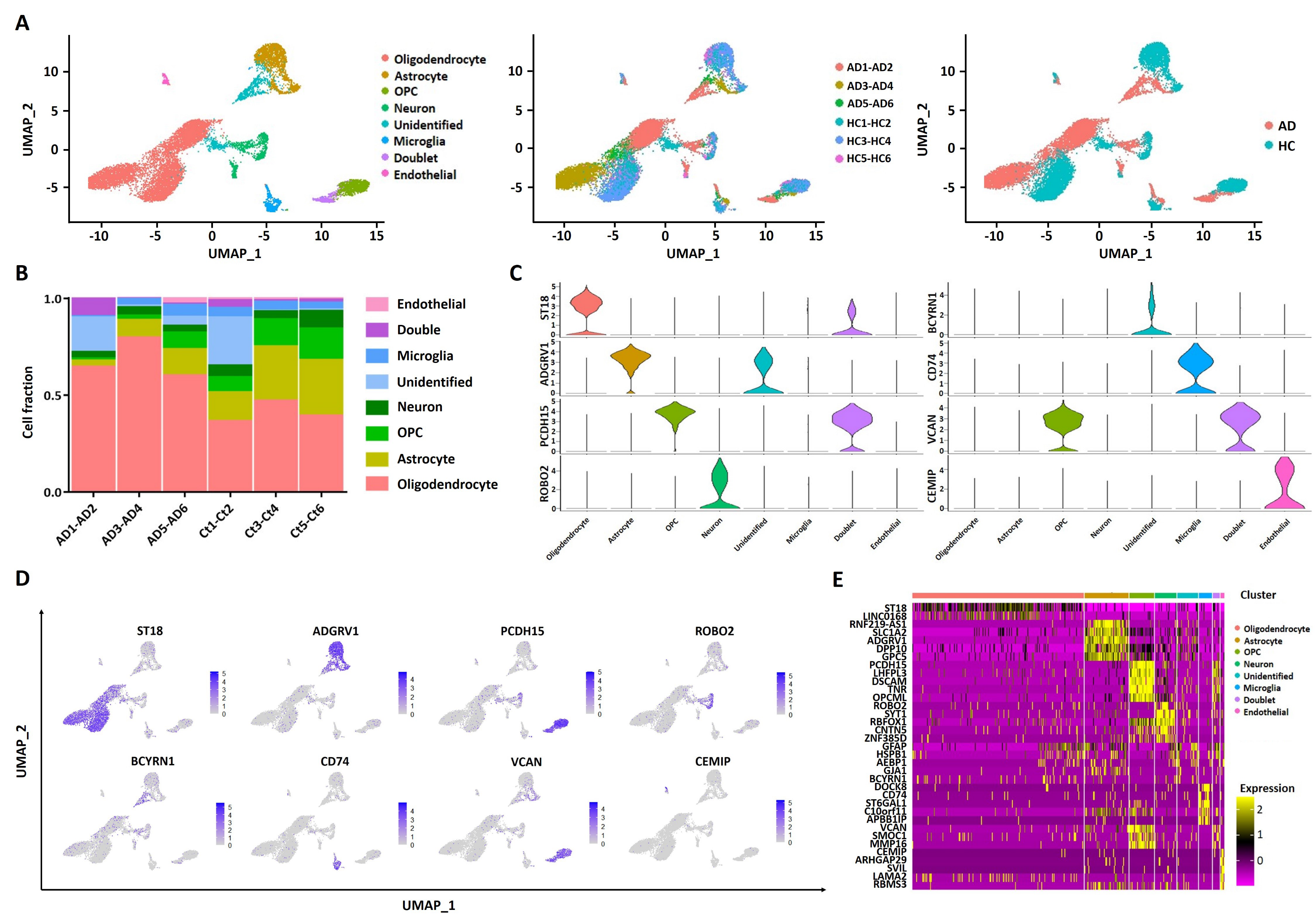 Pharmaceuticals 15 01177 g002