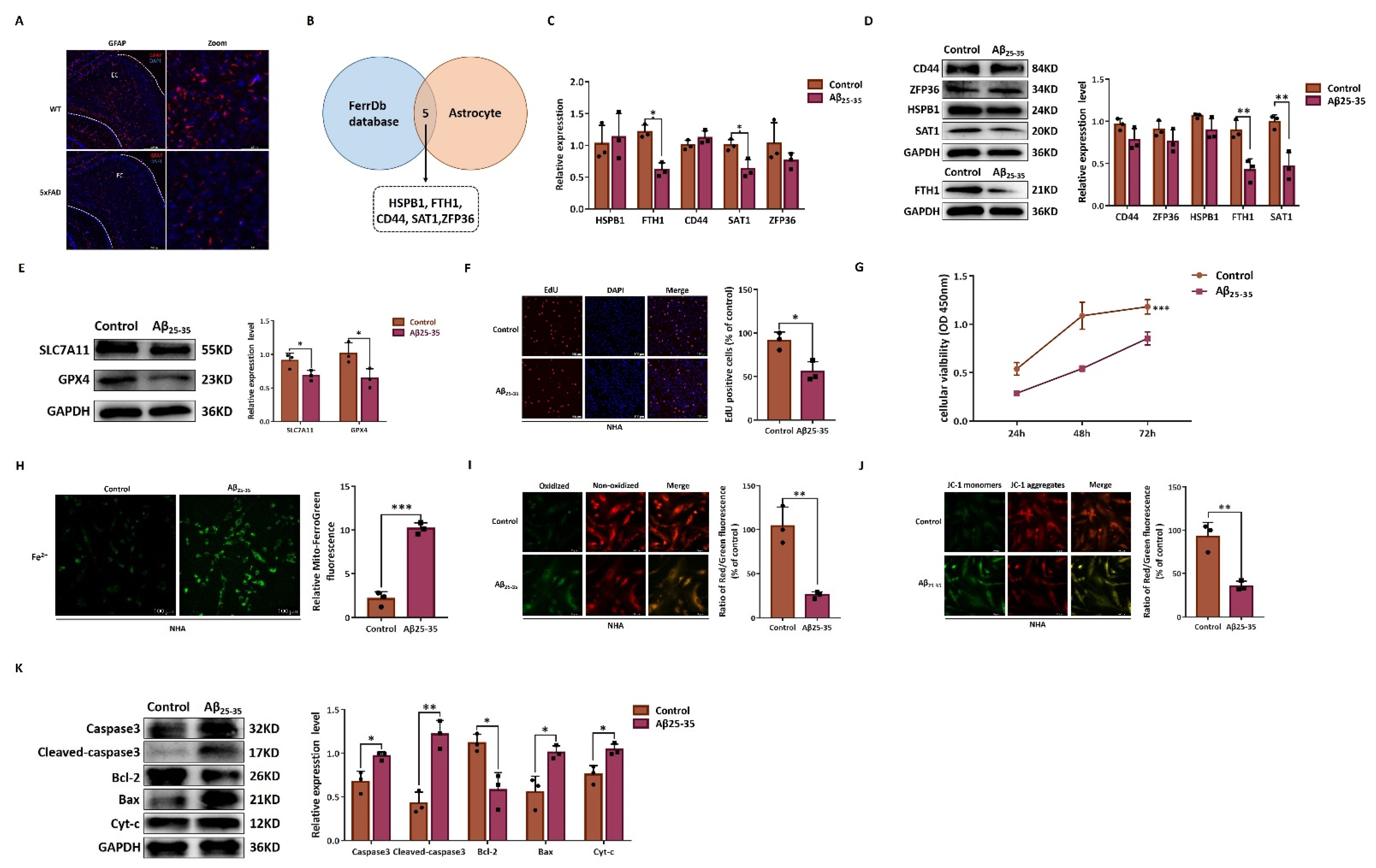 Pharmaceuticals 15 01177 g007