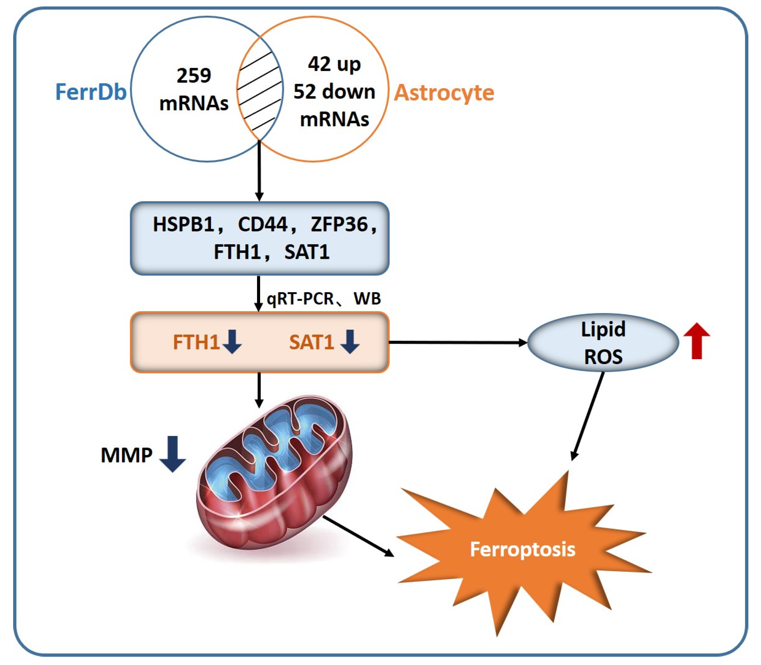 Pharmaceuticals 15 01177 g009
