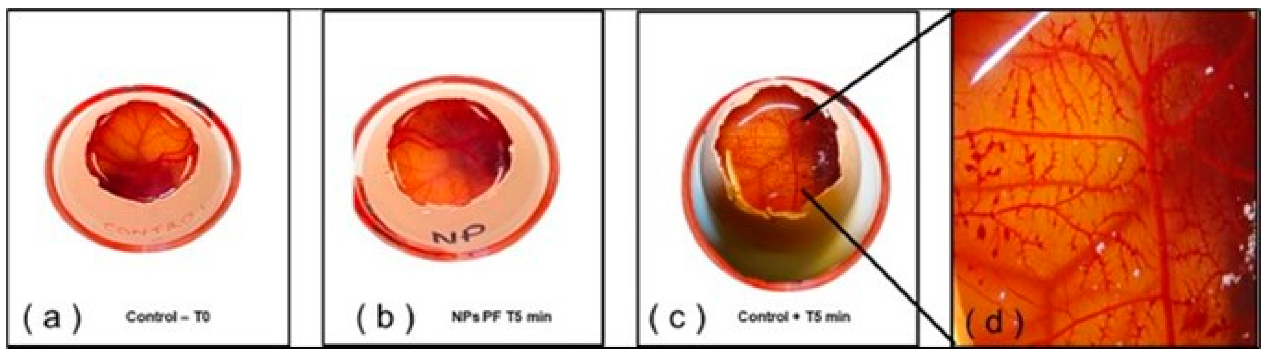 Pharmaceuticals 15 01185 g010