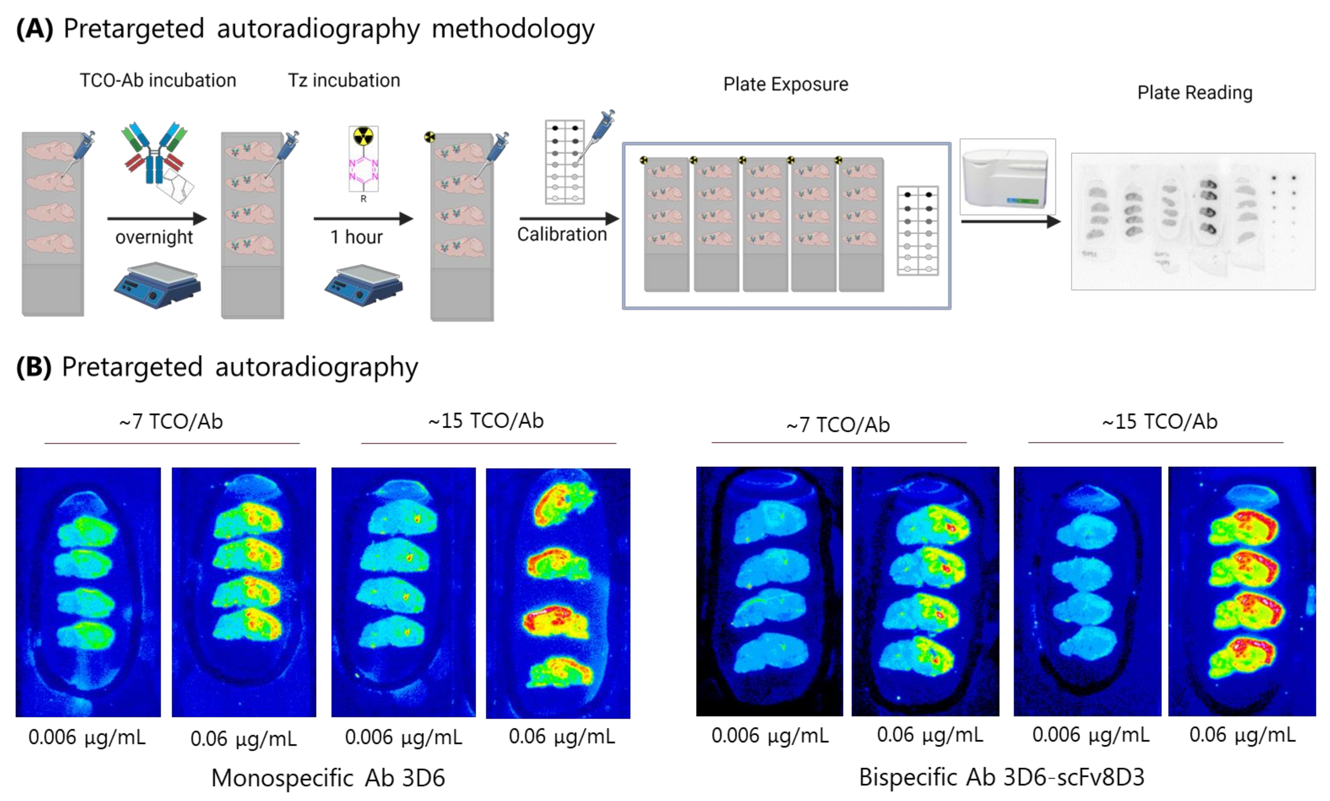 Pharmaceuticals 15 01191 g003
