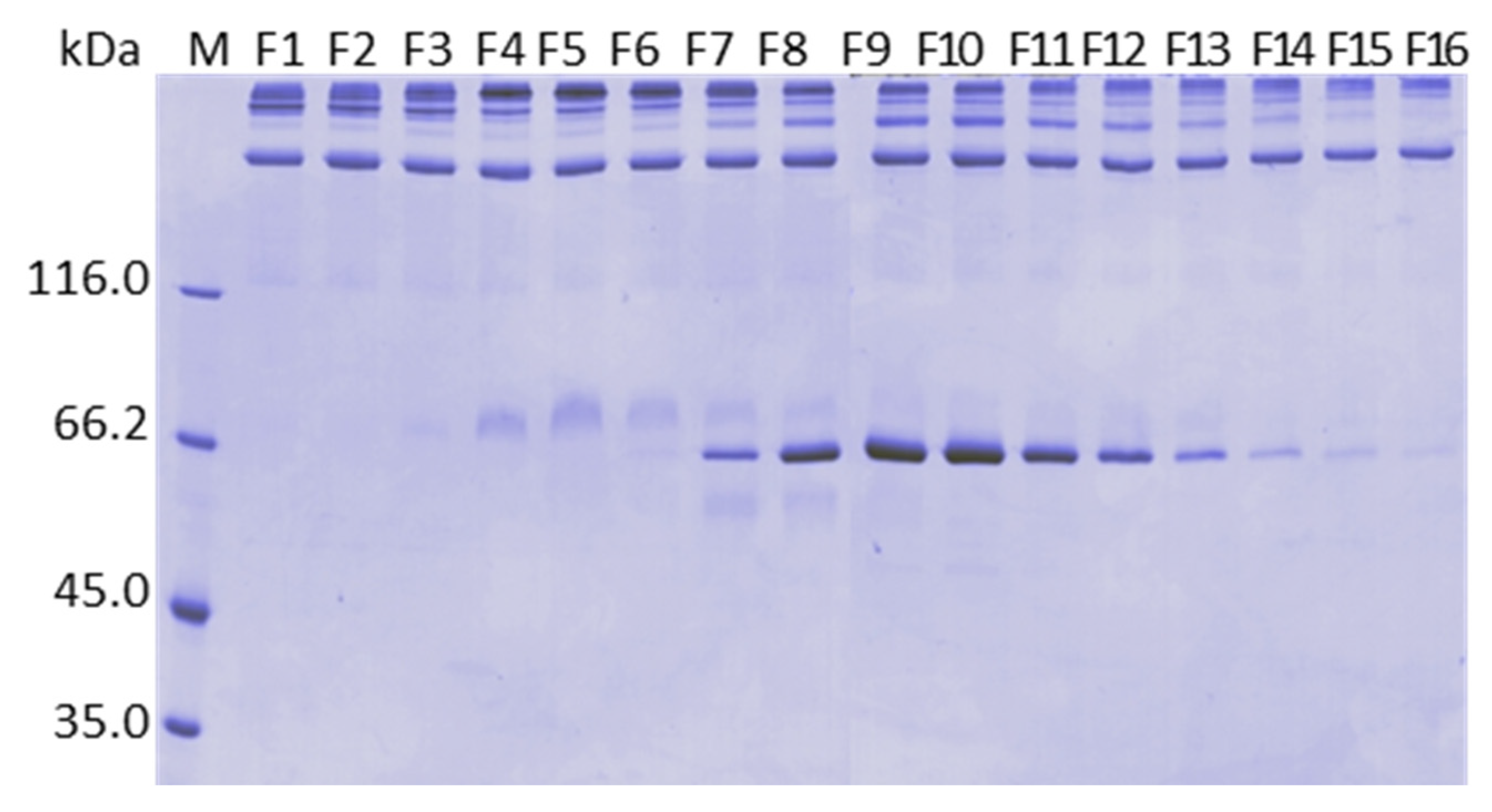 Pharmaceuticals 15 01192 g007