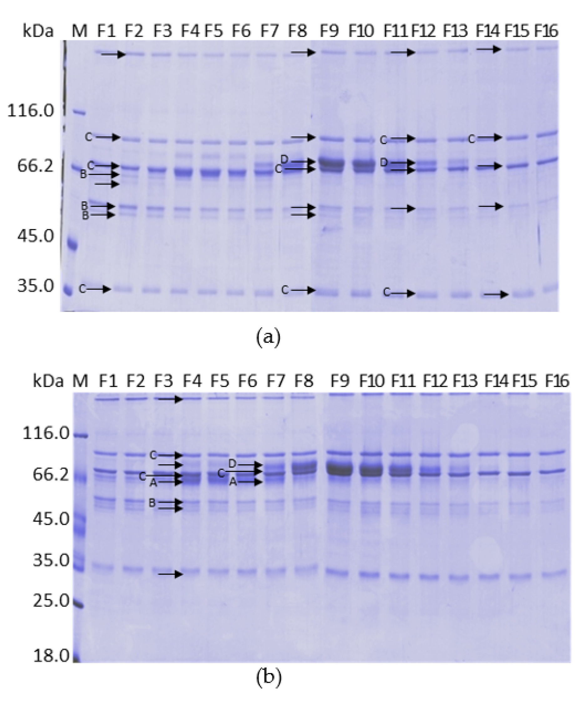 Pharmaceuticals 15 01192 g008