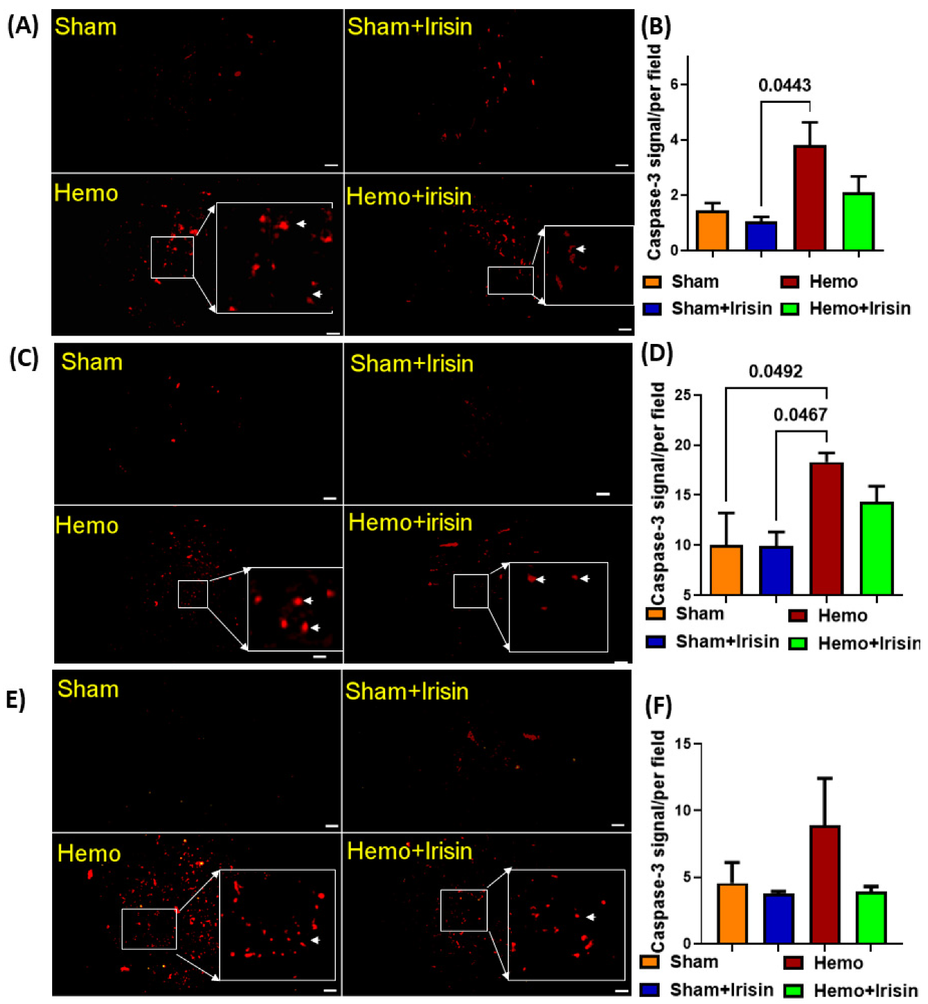 Pharmaceuticals 15 01193 g006 Pharmaceuticals 15 01193 g006
