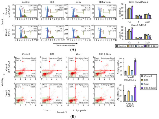 Berberine Overcomes Gemcitabine-Associated Chemoresistance through ...