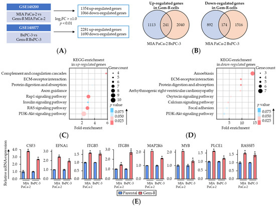 Berberine Overcomes Gemcitabine-Associated Chemoresistance through ...