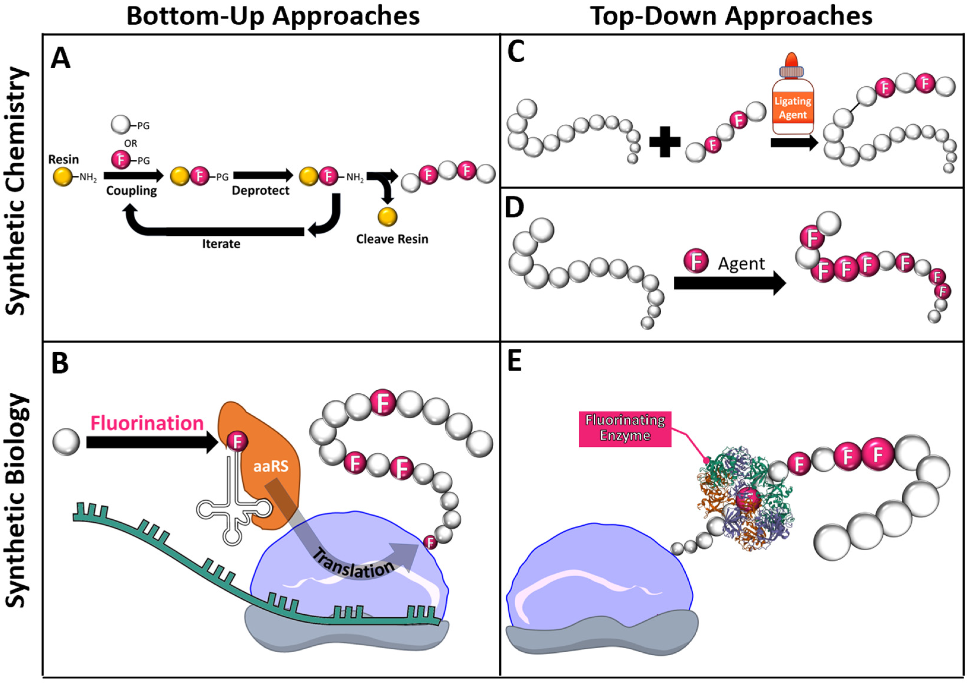 Pharmaceuticals 15 01201 g002 Pharmaceuticals 15 01201 g002