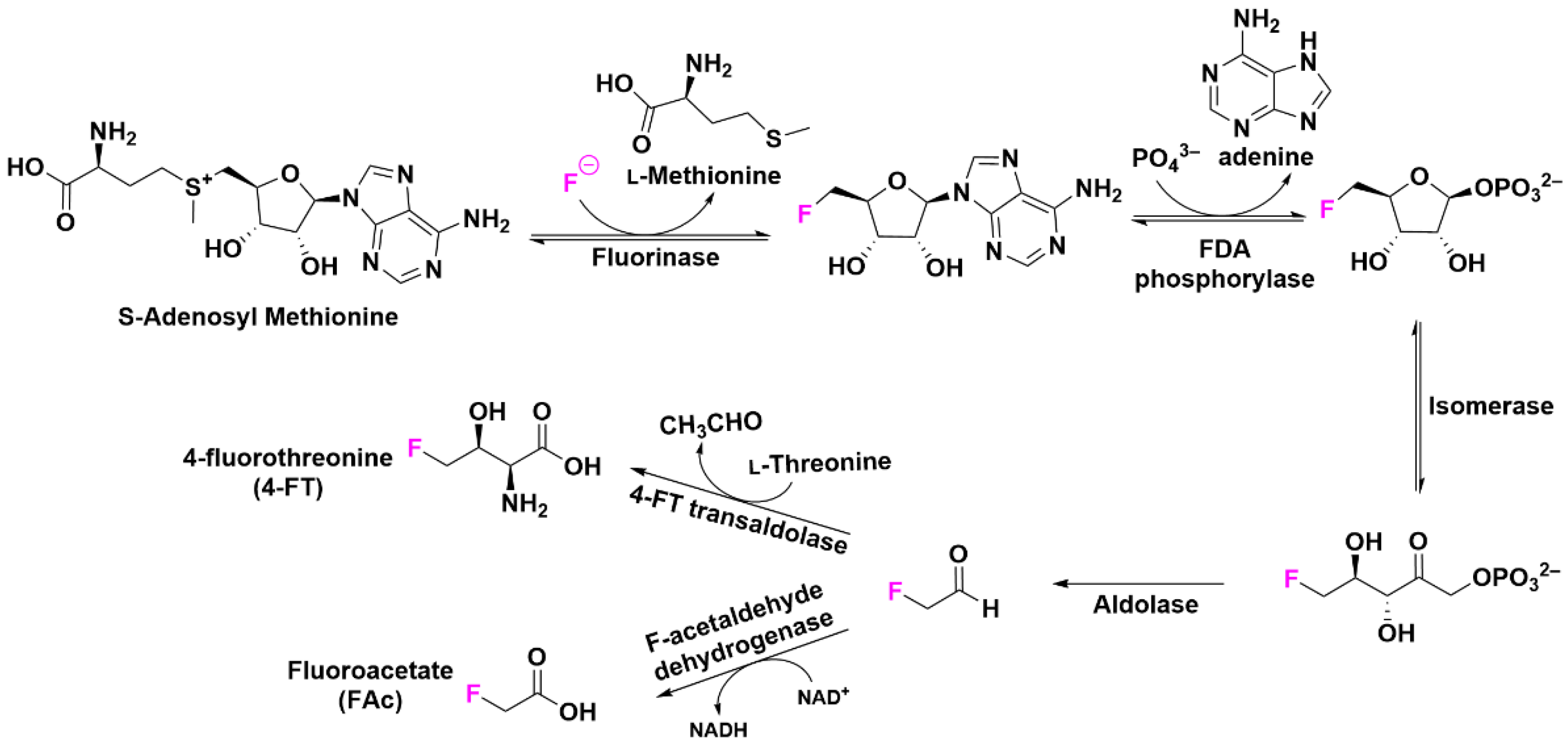 Pharmaceuticals 15 01201 g003 Pharmaceuticals 15 01201 g003