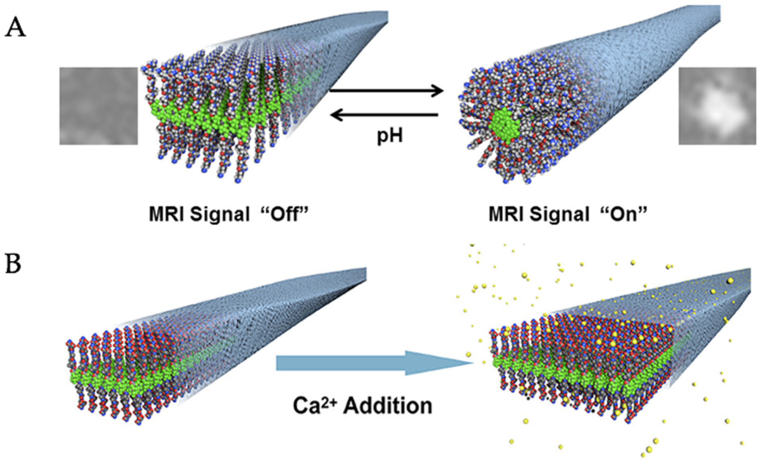 Pharmaceuticals 15 01201 g016 Pharmaceuticals 15 01201 g016