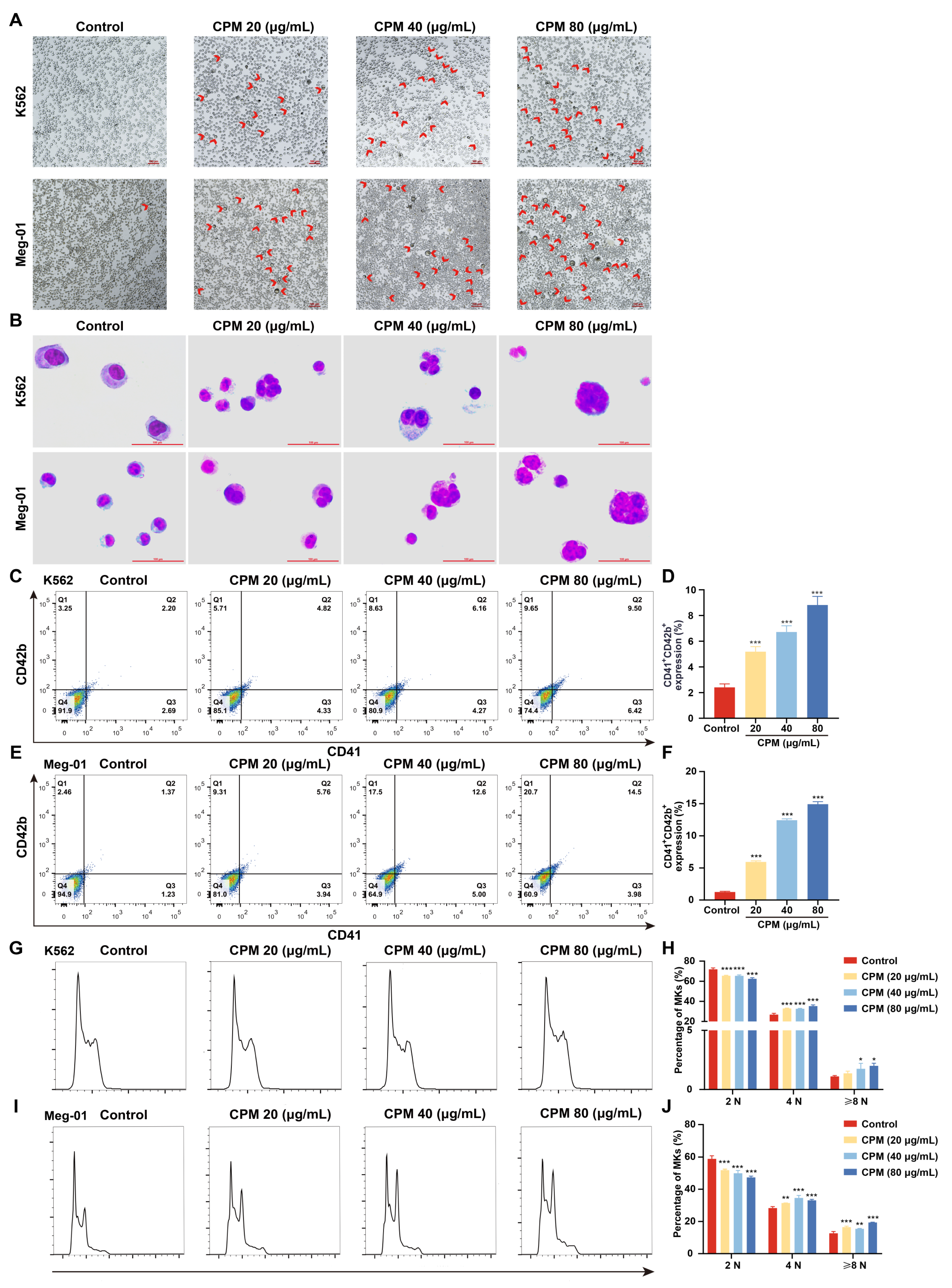 Pharmaceuticals 15 01204 g001 Pharmaceuticals 15 01204 g001