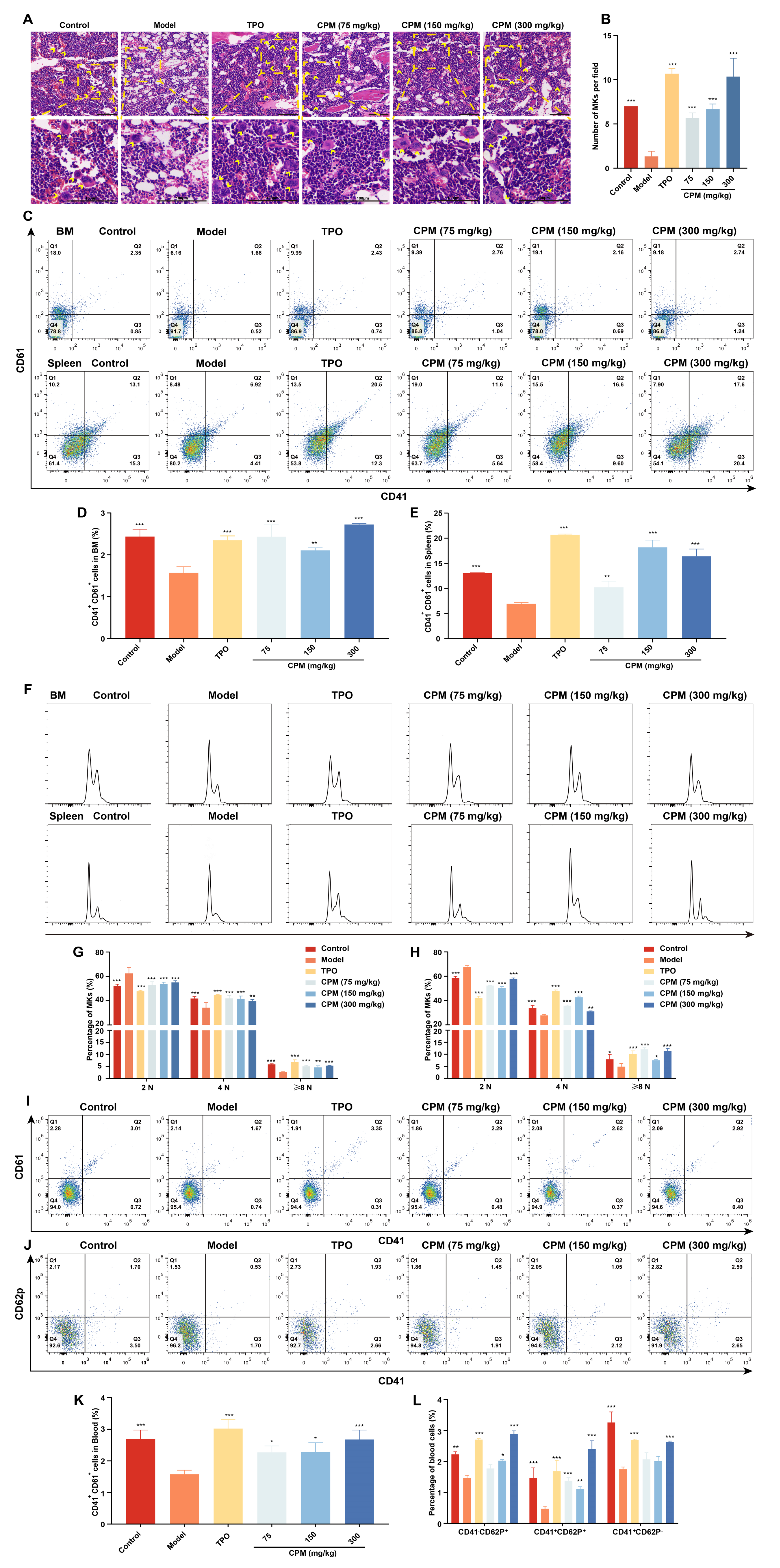 Pharmaceuticals 15 01204 g004 Pharmaceuticals 15 01204 g004