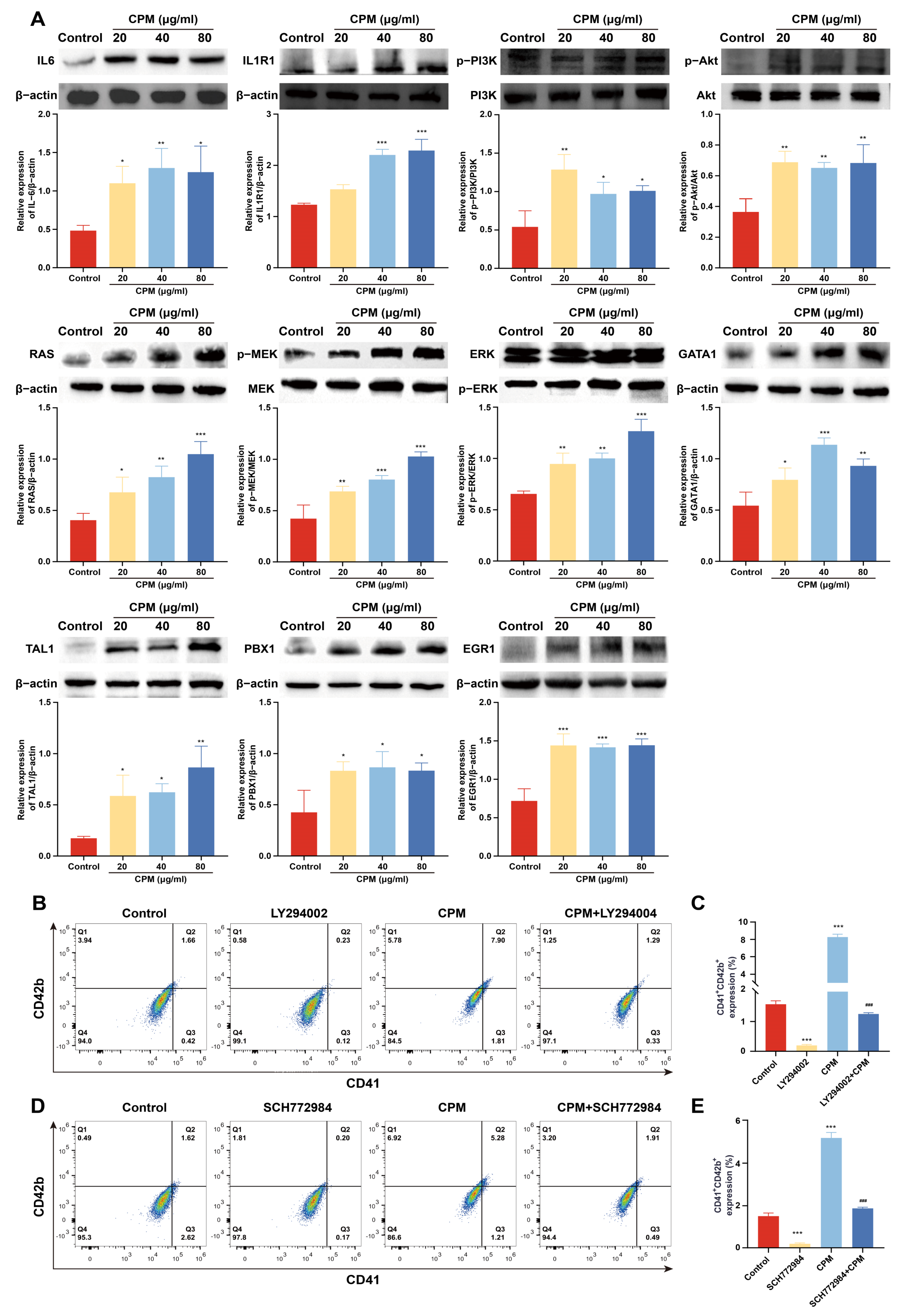 Pharmaceuticals 15 01204 g006 Pharmaceuticals 15 01204 g006