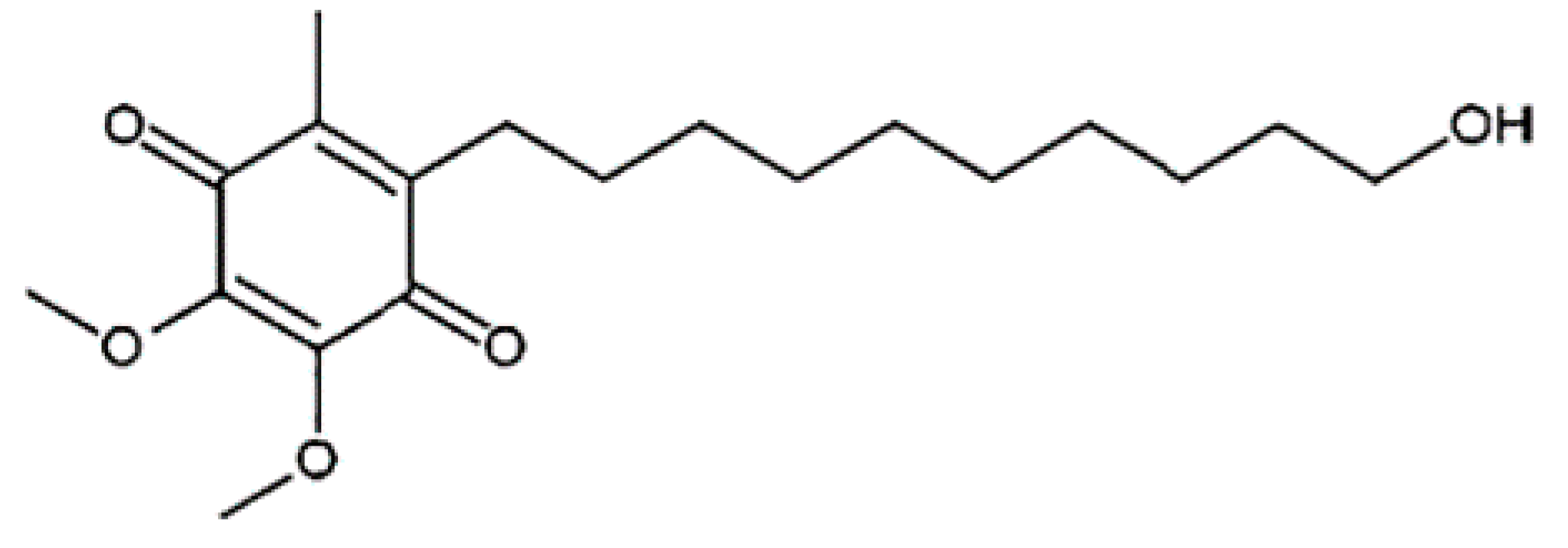24/7Workout INULIN+CHITOSANイヌリン+キトサン 24/7オンラインショップ24/7Workout INULIN+CHITOSAN: Workout物販
