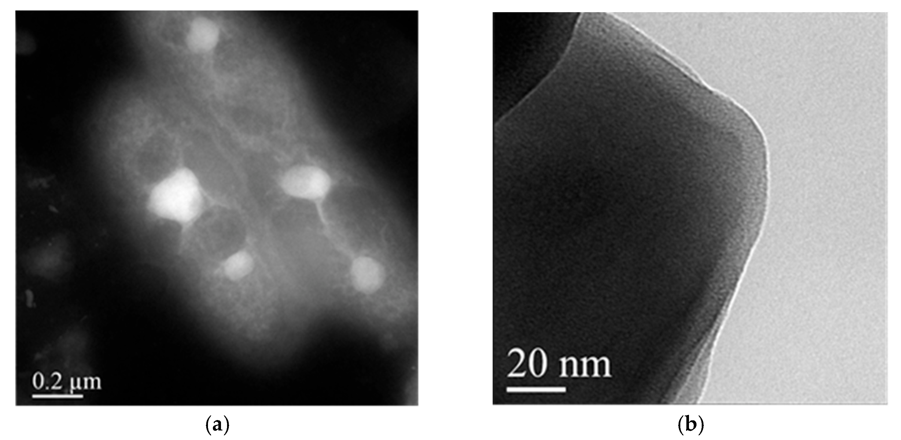 Pharmaceuticals 15 01206 g003