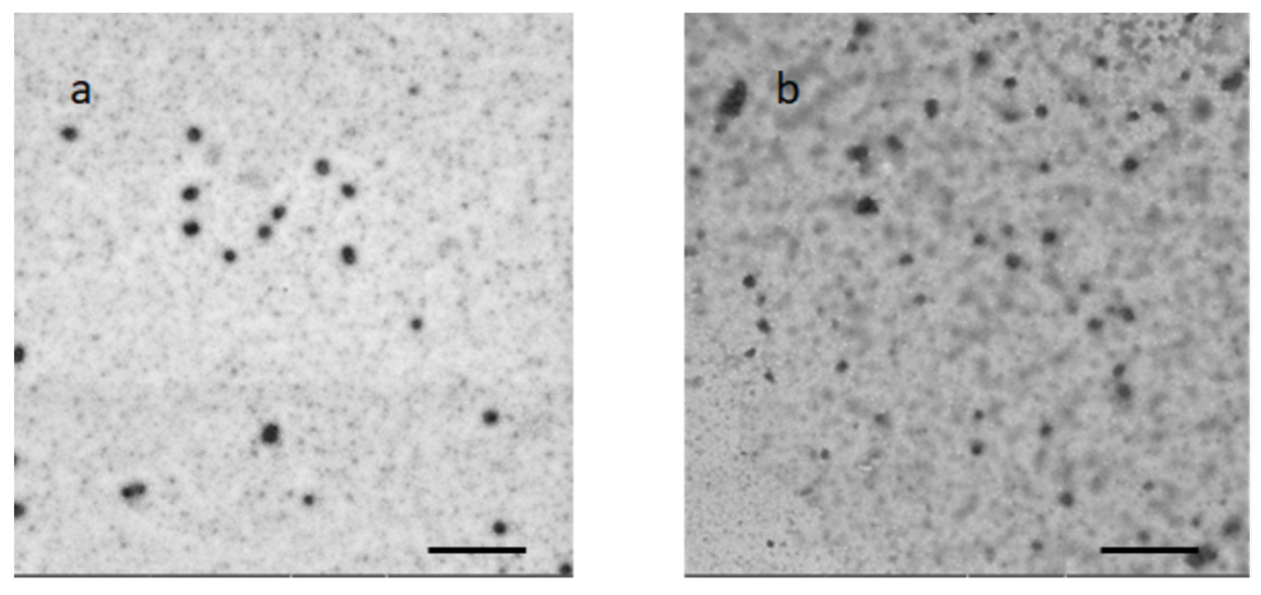 Pharmaceuticals 15 01207 g002