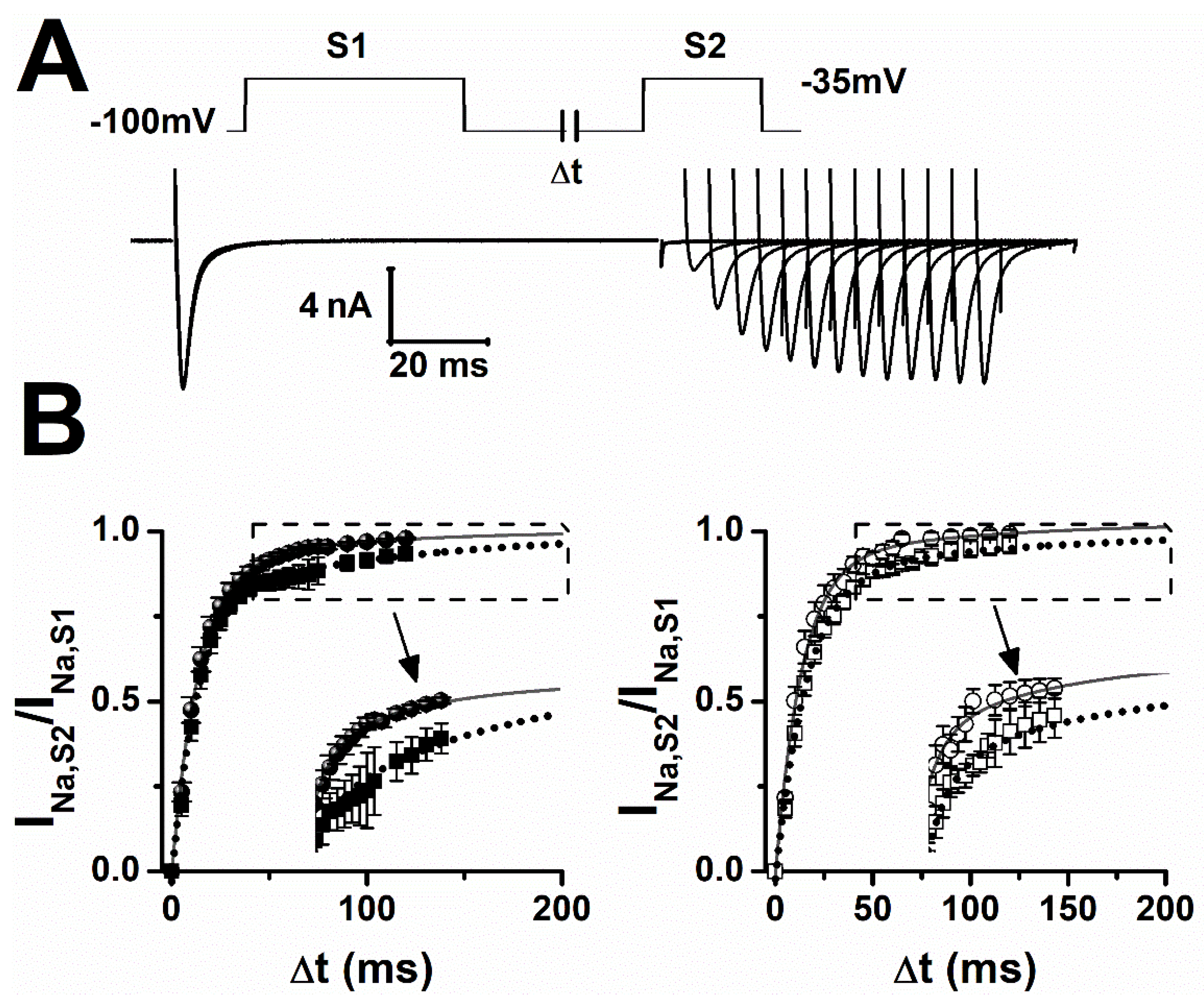 Pharmaceuticals 15 01208 g004 Pharmaceuticals 15 01208 g004