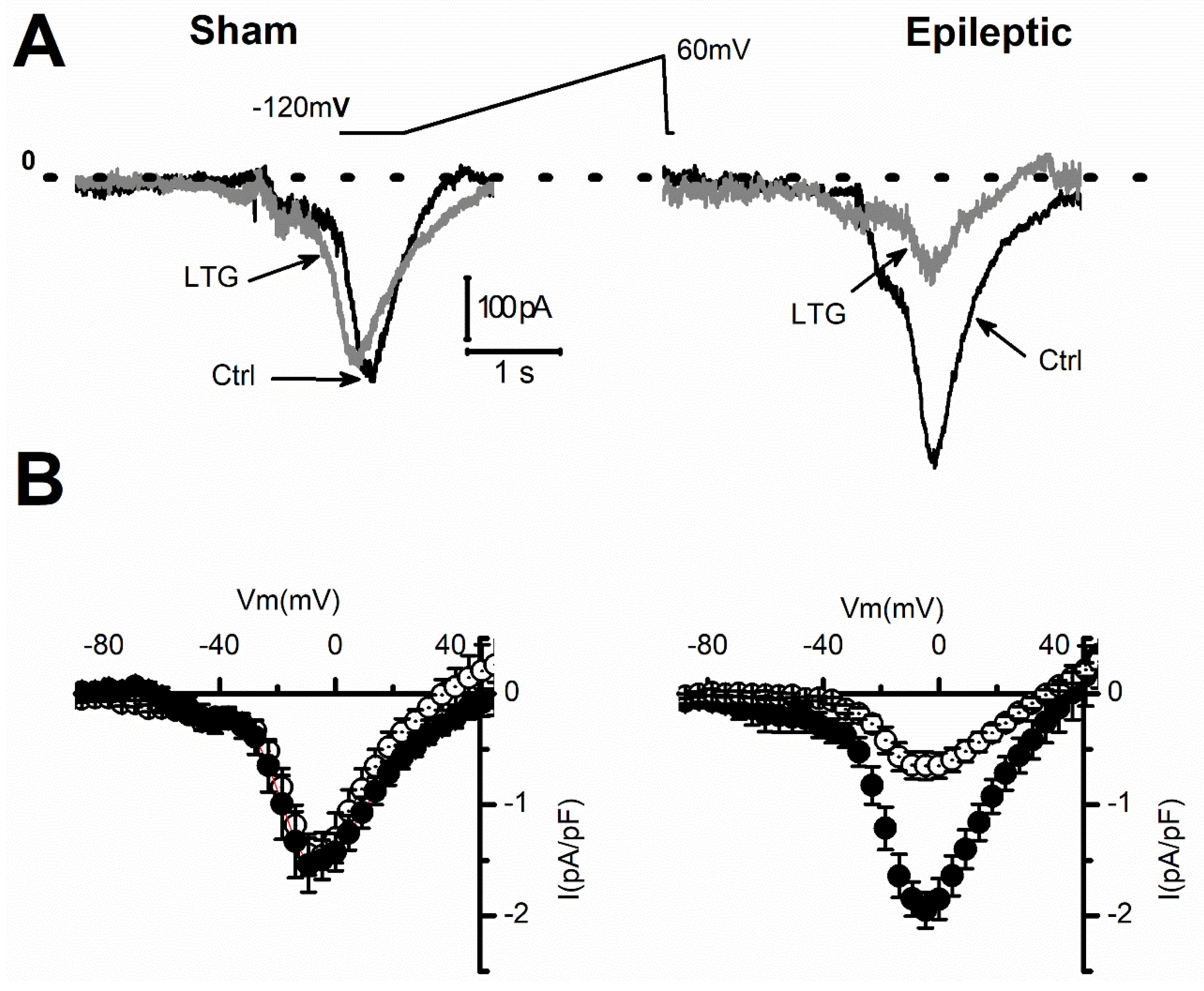 Pharmaceuticals 15 01208 g006 Pharmaceuticals 15 01208 g006