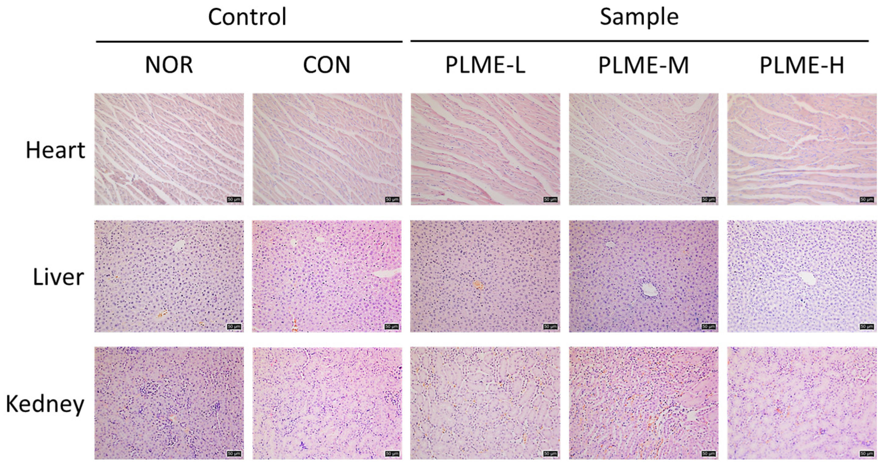 Pharmaceuticals 15 01215 g001 Pharmaceuticals 15 01215 g001