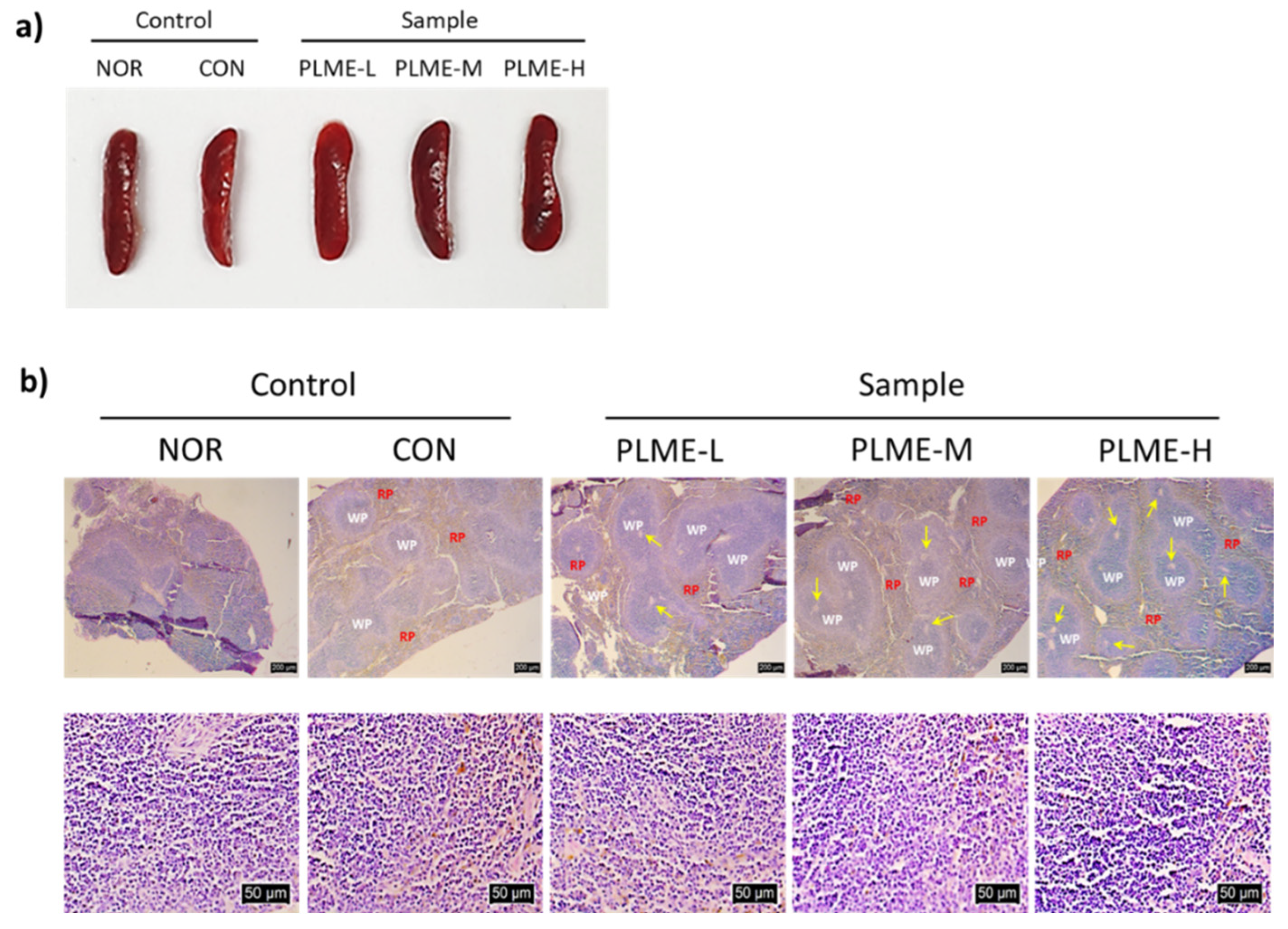 Pharmaceuticals 15 01215 g002 Pharmaceuticals 15 01215 g002