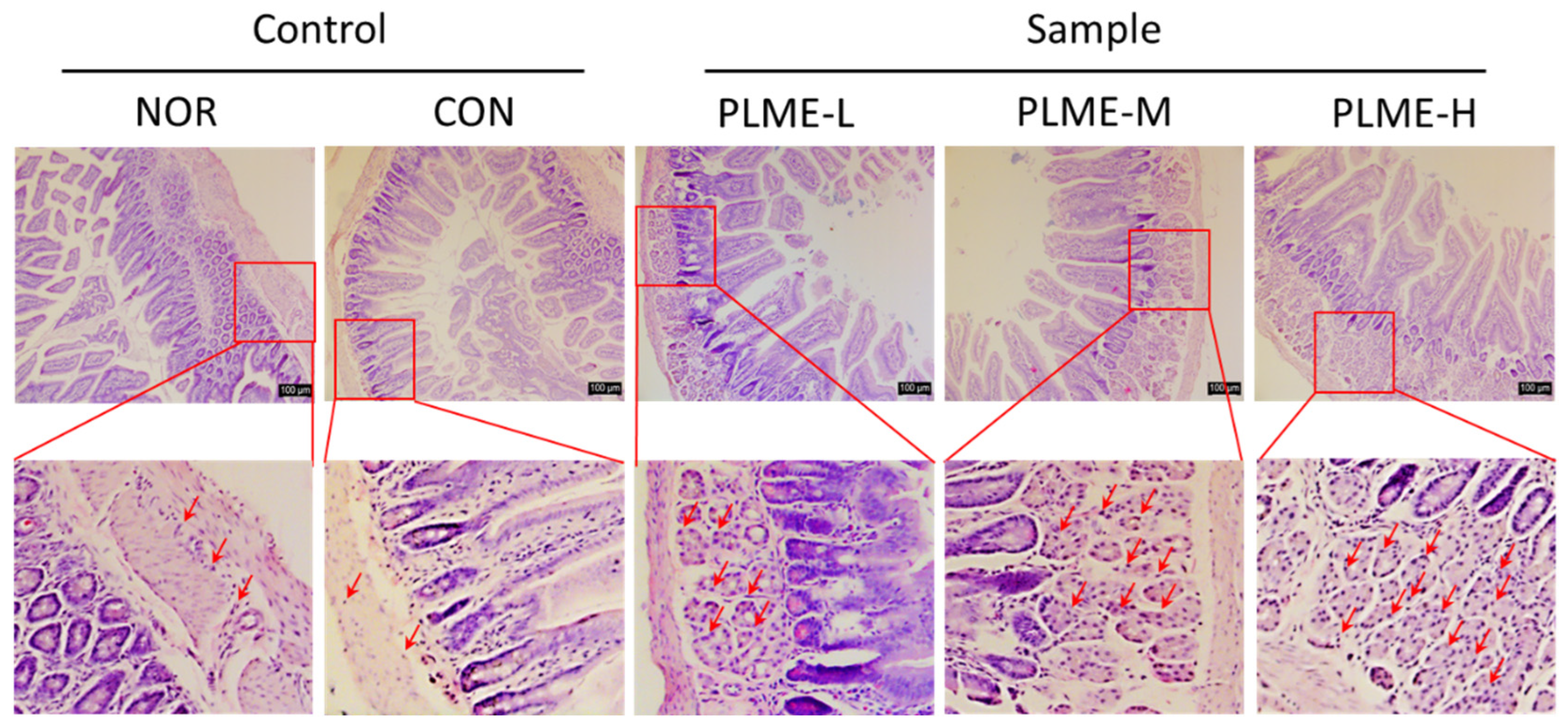 Pharmaceuticals 15 01215 g006 Pharmaceuticals 15 01215 g006