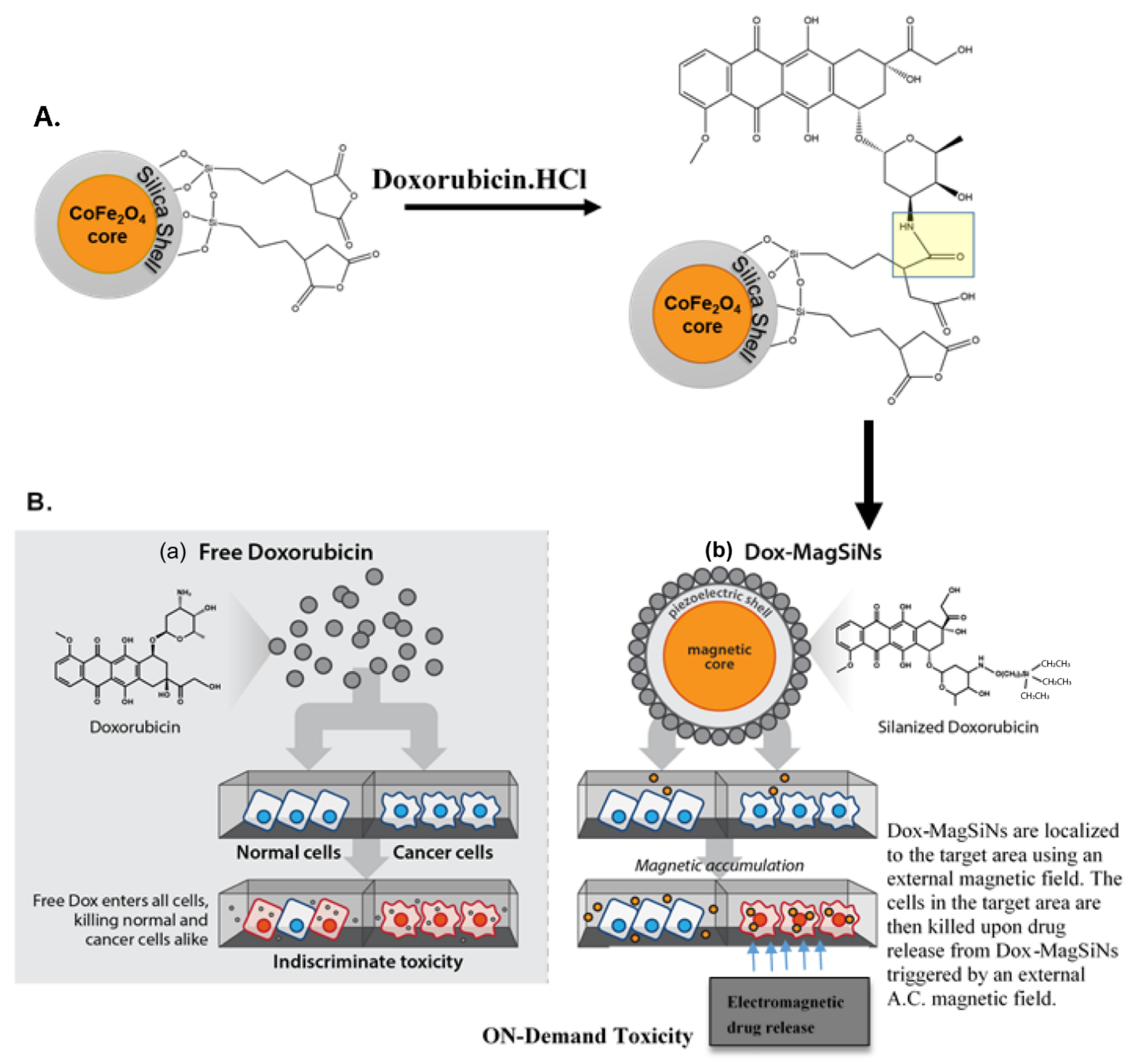 Pharmaceuticals 15 01216 g005