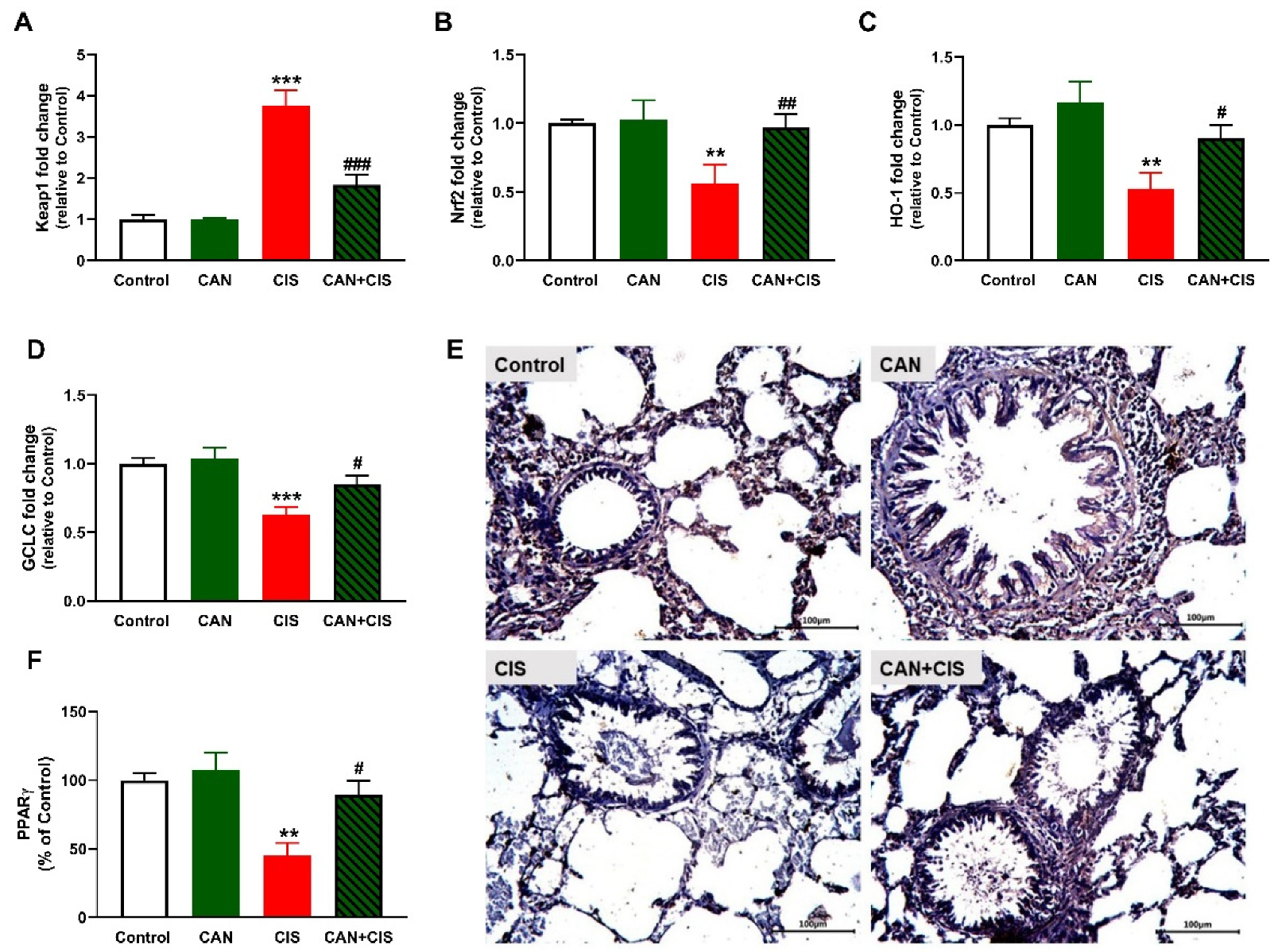 Pharmaceuticals 15 01222 g008