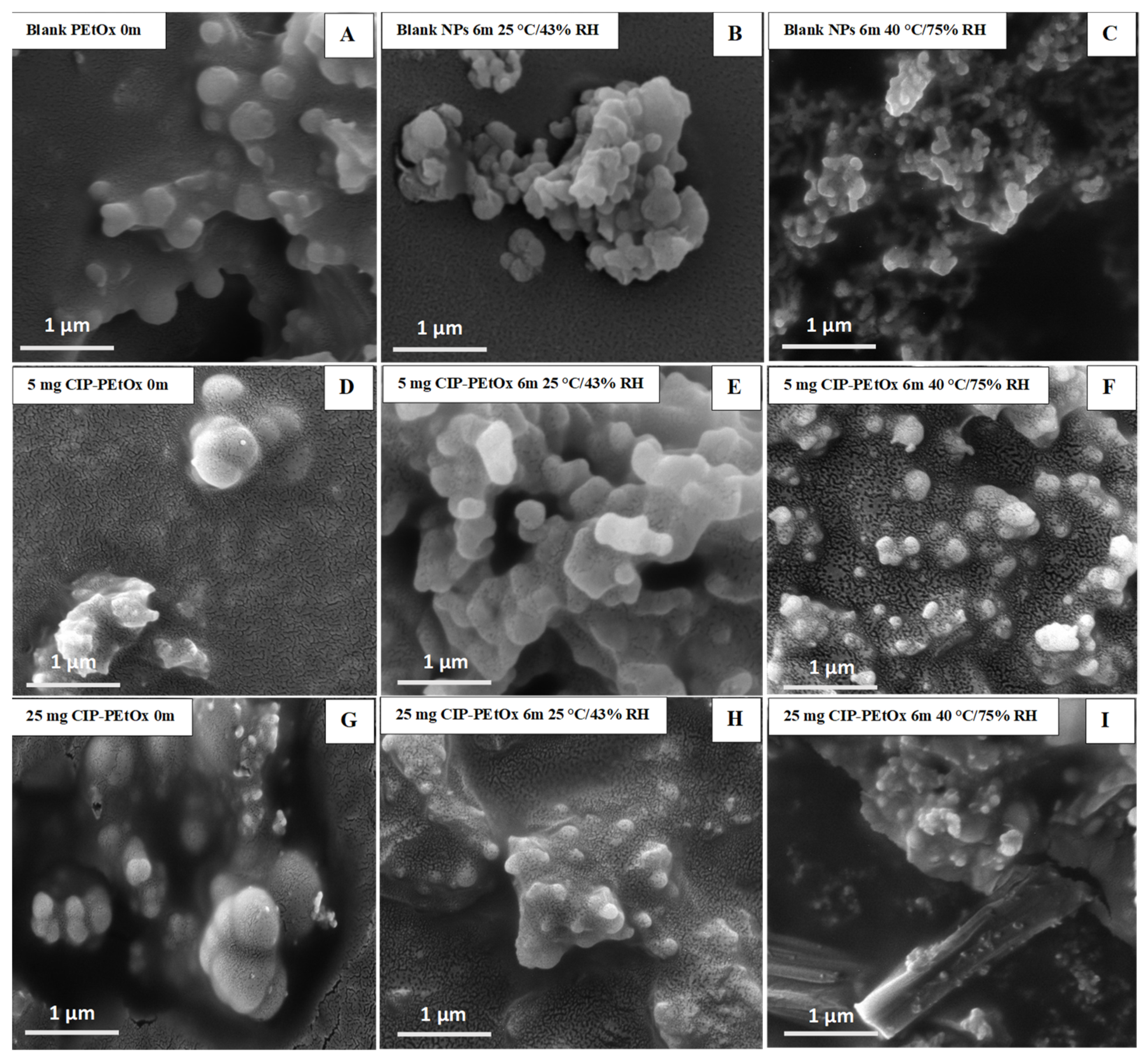 Pharmaceuticals 15 01223 g003