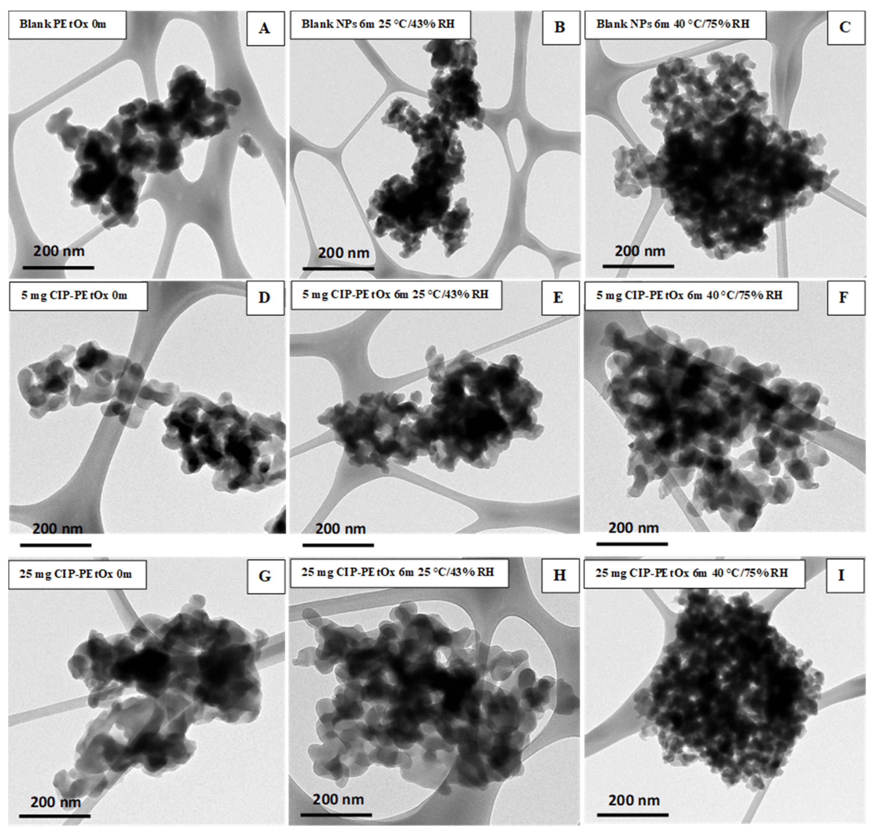 Pharmaceuticals 15 01223 g004