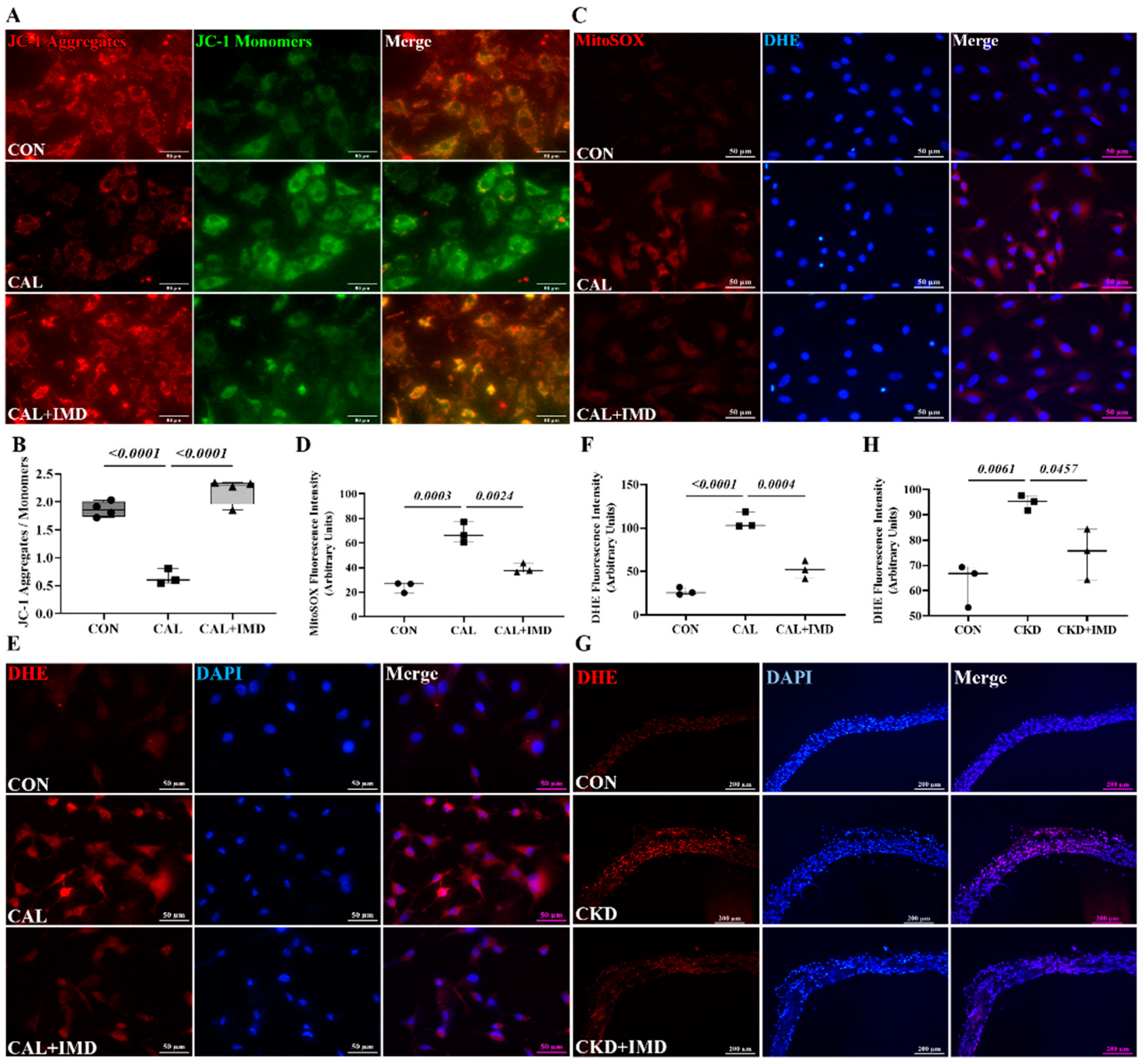 Pharmaceuticals 15 01224 g002a Pharmaceuticals 15 01224 g002a