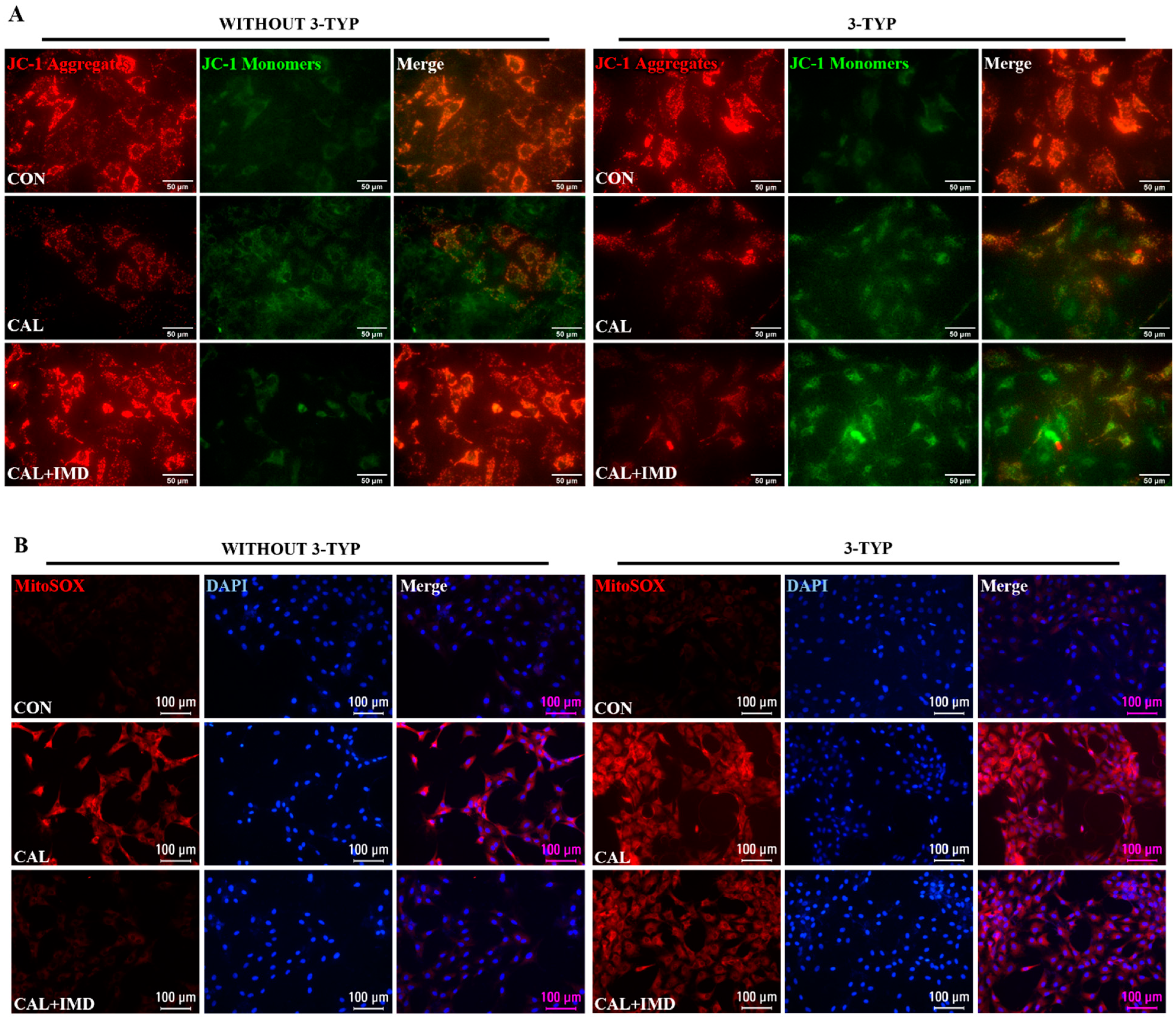 Pharmaceuticals 15 01224 g005a Pharmaceuticals 15 01224 g005a