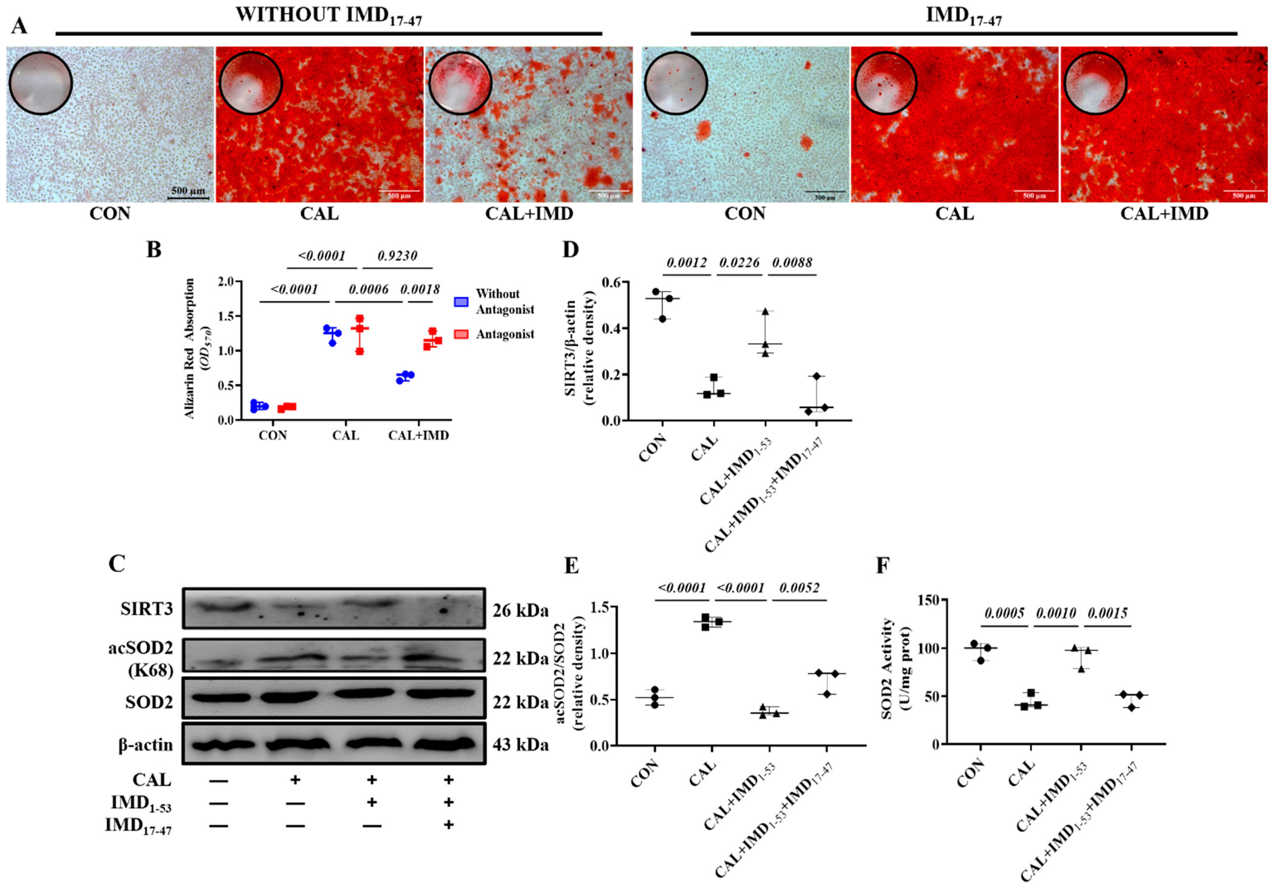 Pharmaceuticals 15 01224 g006 Pharmaceuticals 15 01224 g006