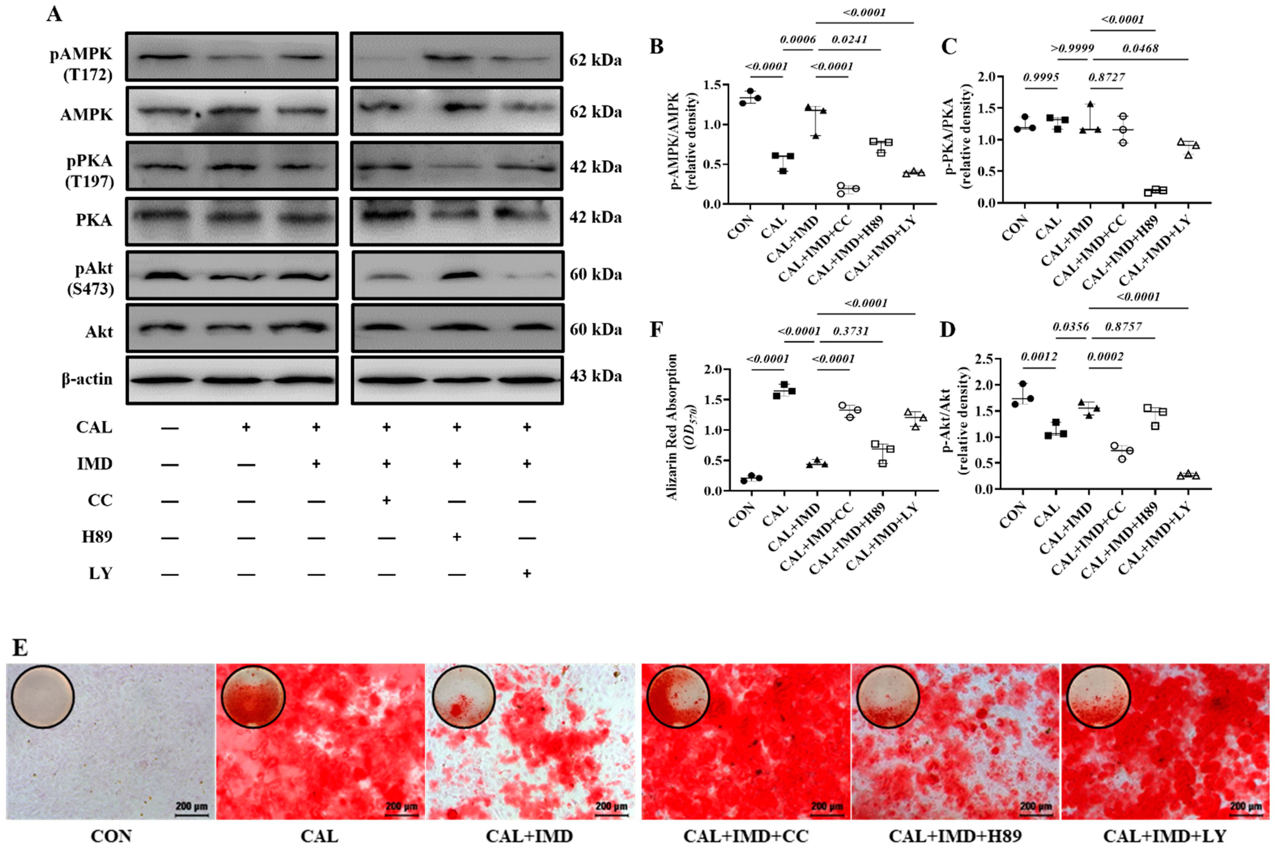 Pharmaceuticals 15 01224 g007a Pharmaceuticals 15 01224 g007a