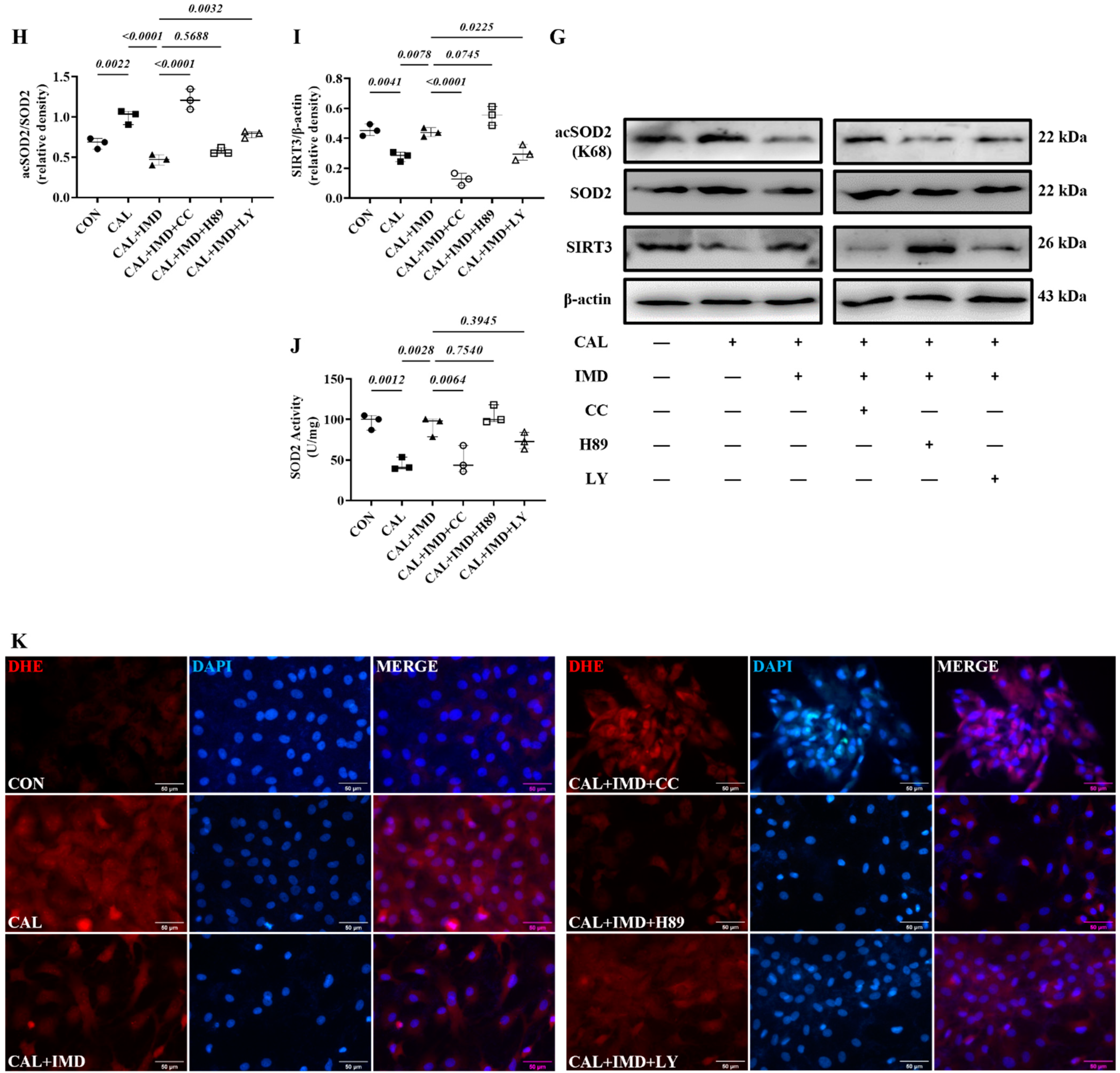 Pharmaceuticals 15 01224 g007b Pharmaceuticals 15 01224 g007b
