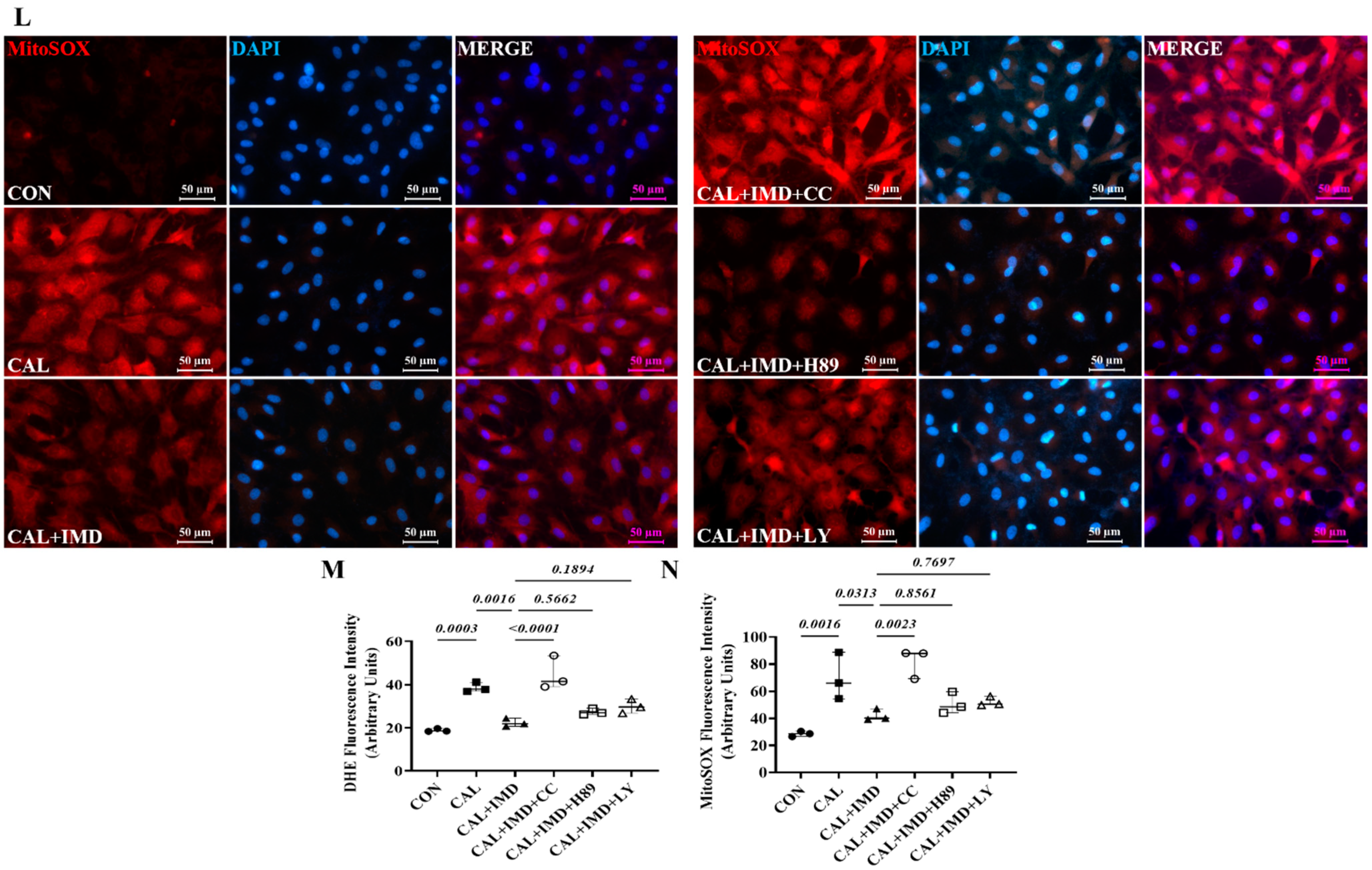 Pharmaceuticals 15 01224 g007c Pharmaceuticals 15 01224 g007c
