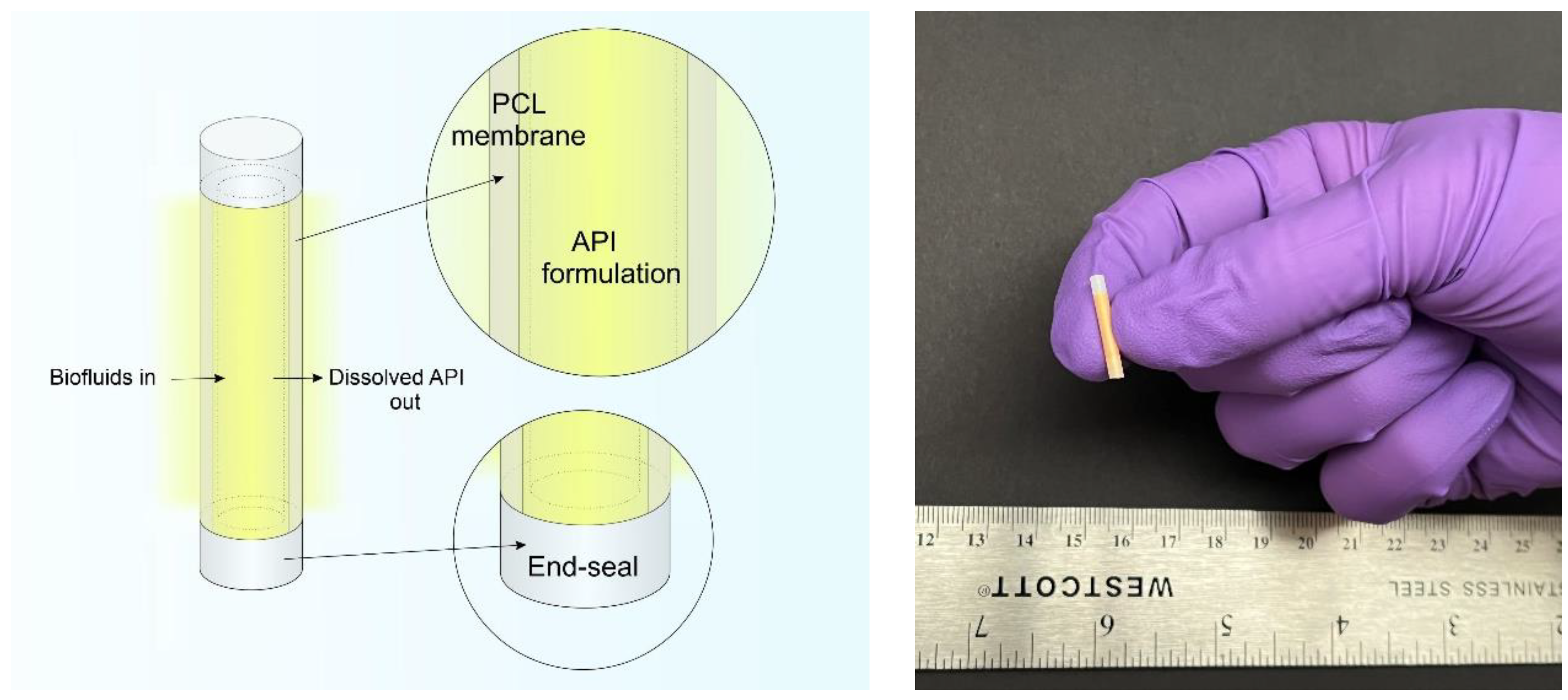 Pharmaceuticals 15 01226 g001 Pharmaceuticals 15 01226 g001