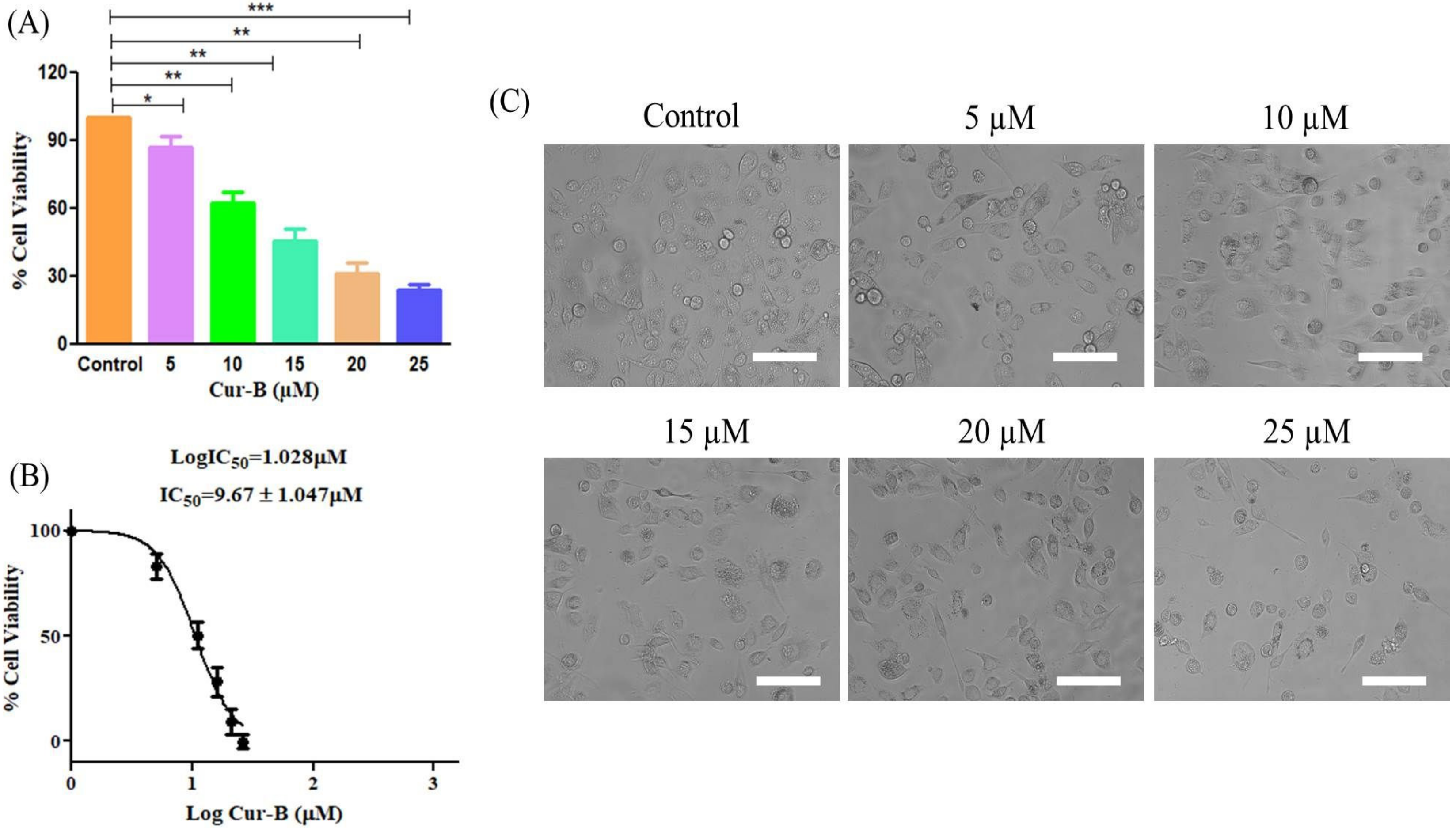 Pharmaceuticals 15 01229 g001