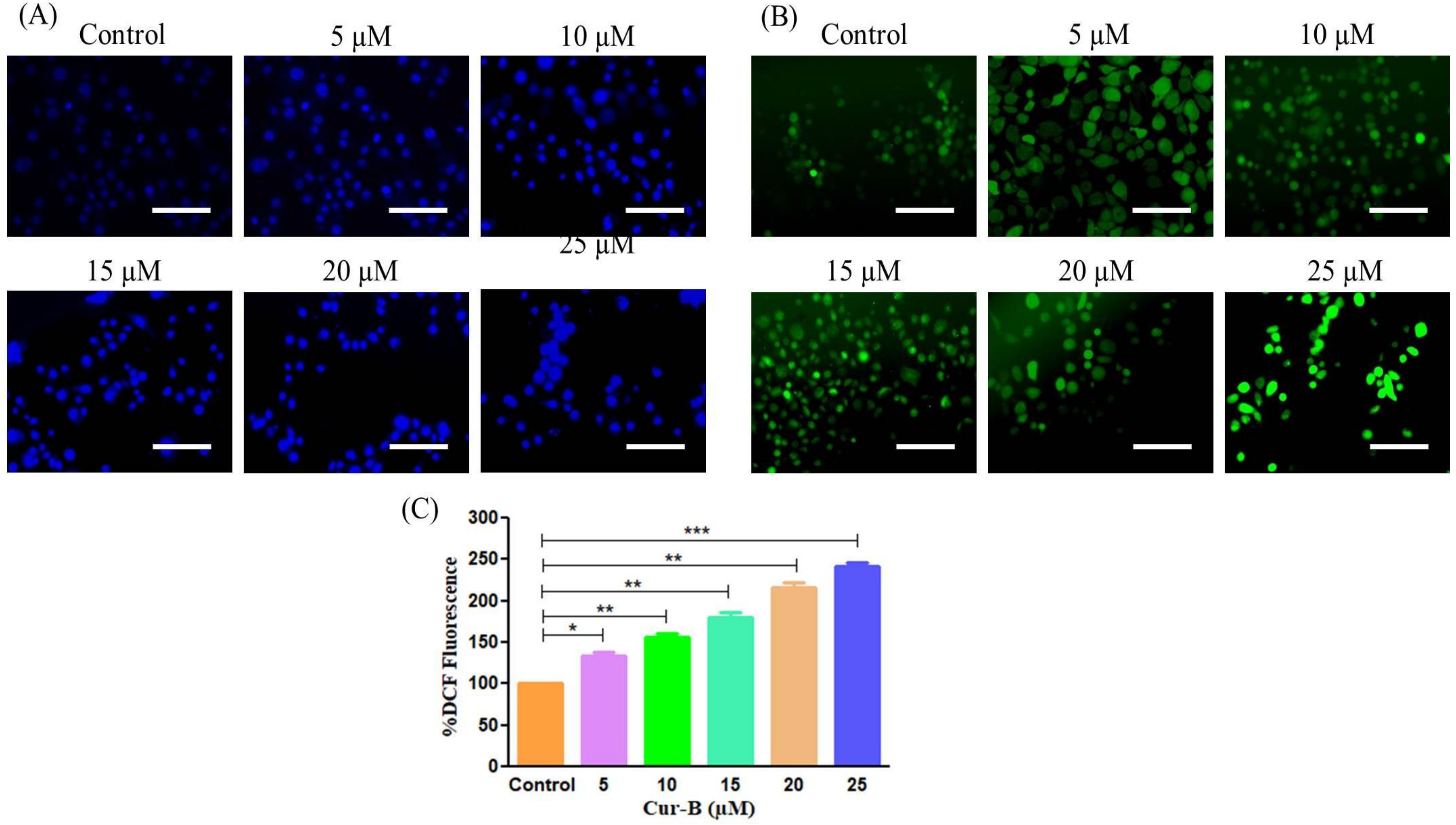 Pharmaceuticals 15 01229 g002