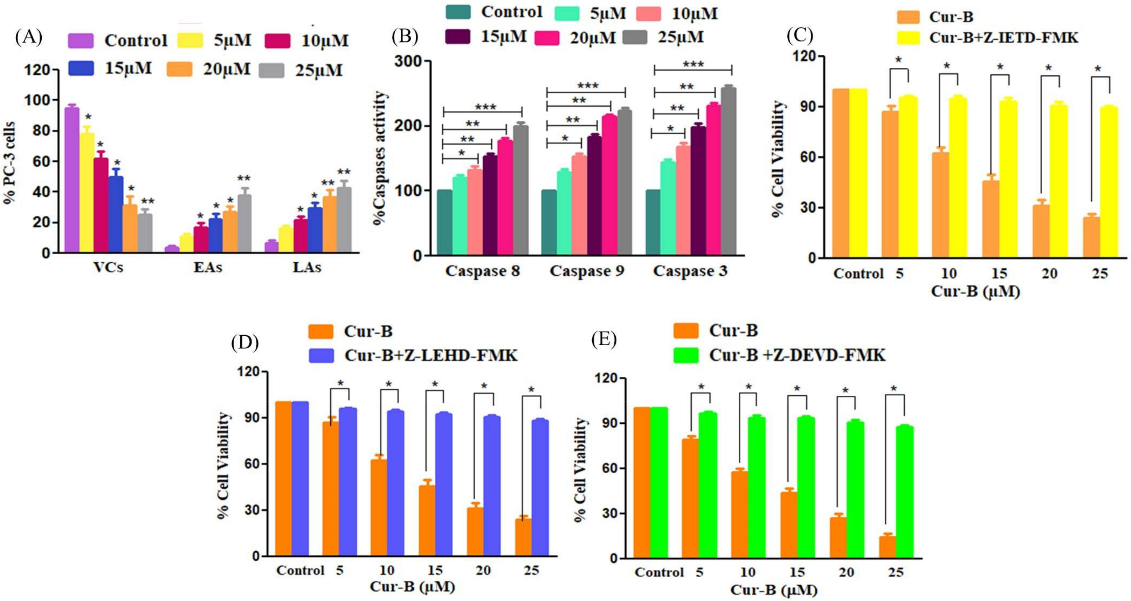 Pharmaceuticals 15 01229 g005