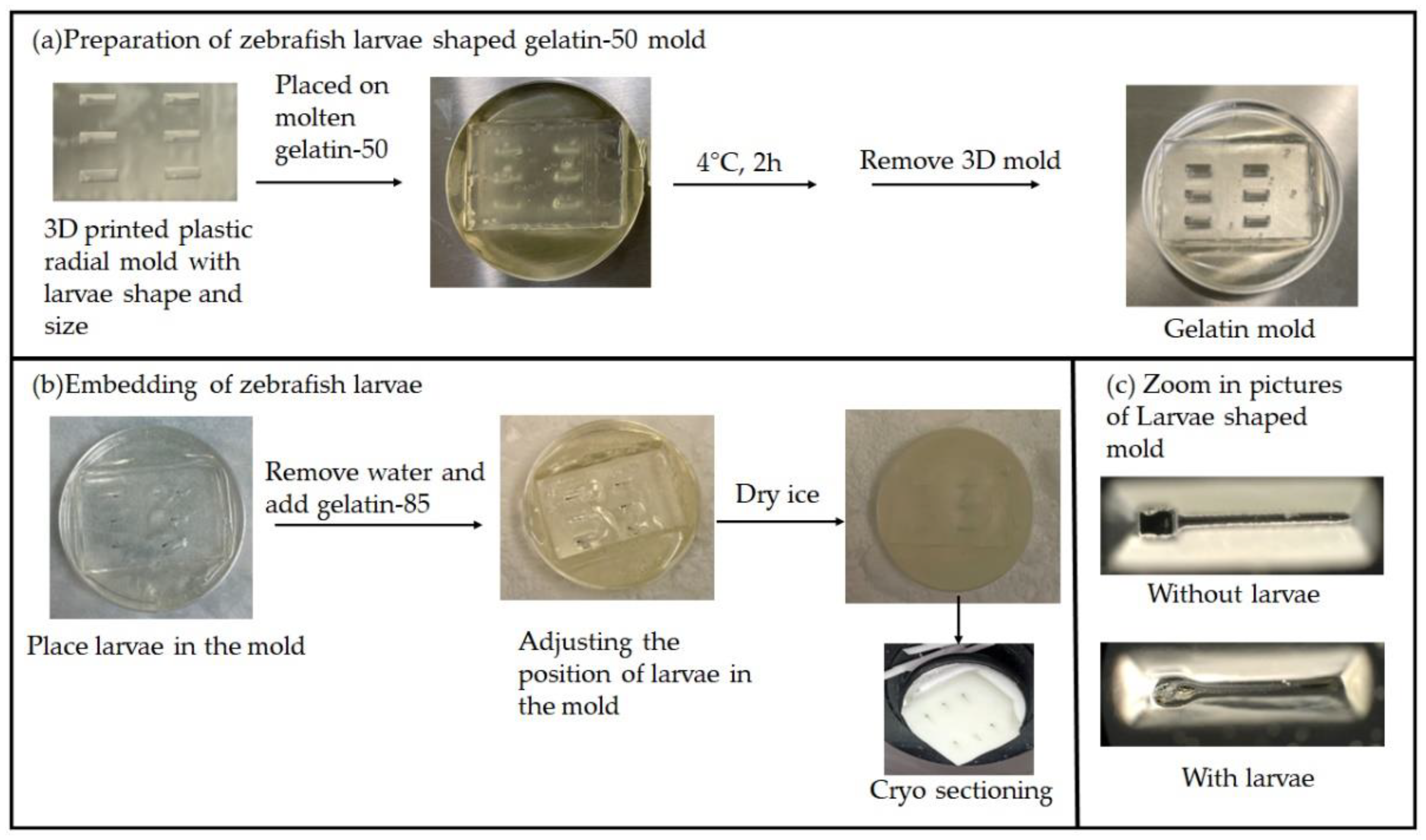 Pharmaceuticals 15 01230 g002 Pharmaceuticals 15 01230 g002