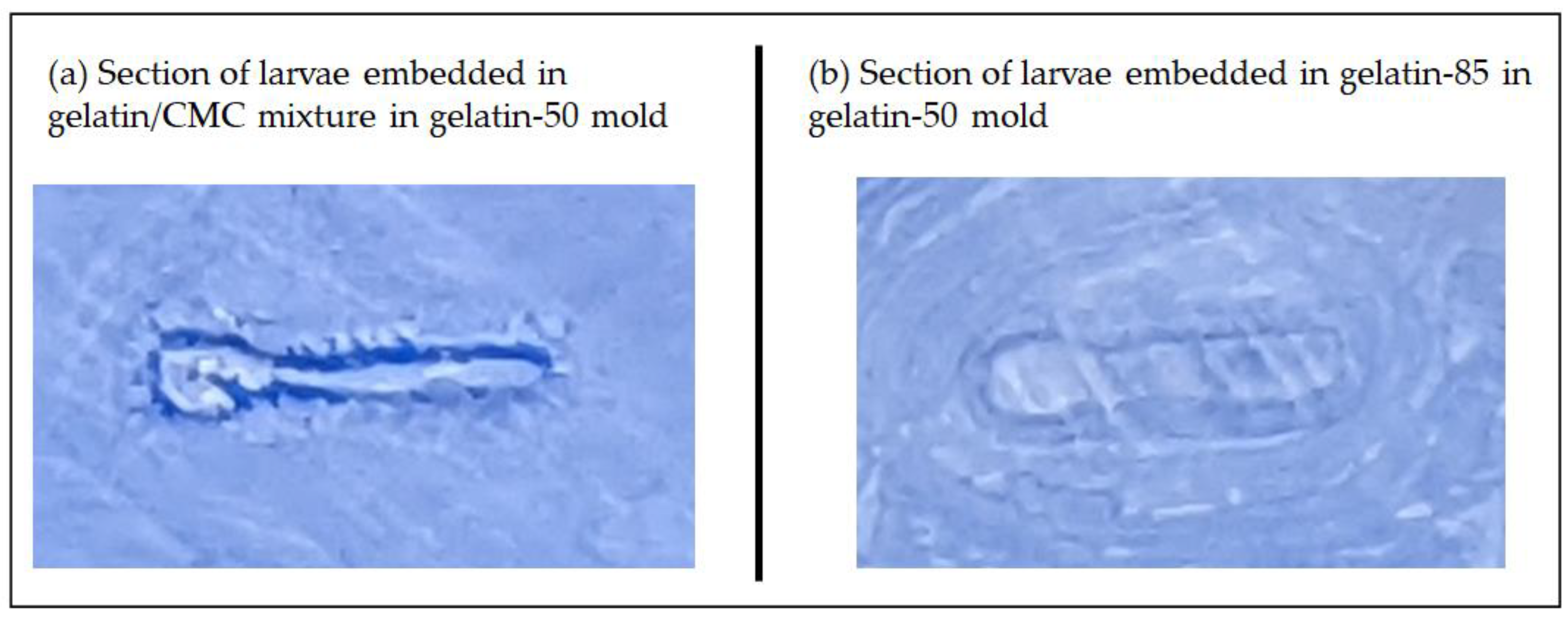 Pharmaceuticals 15 01230 g003 Pharmaceuticals 15 01230 g003