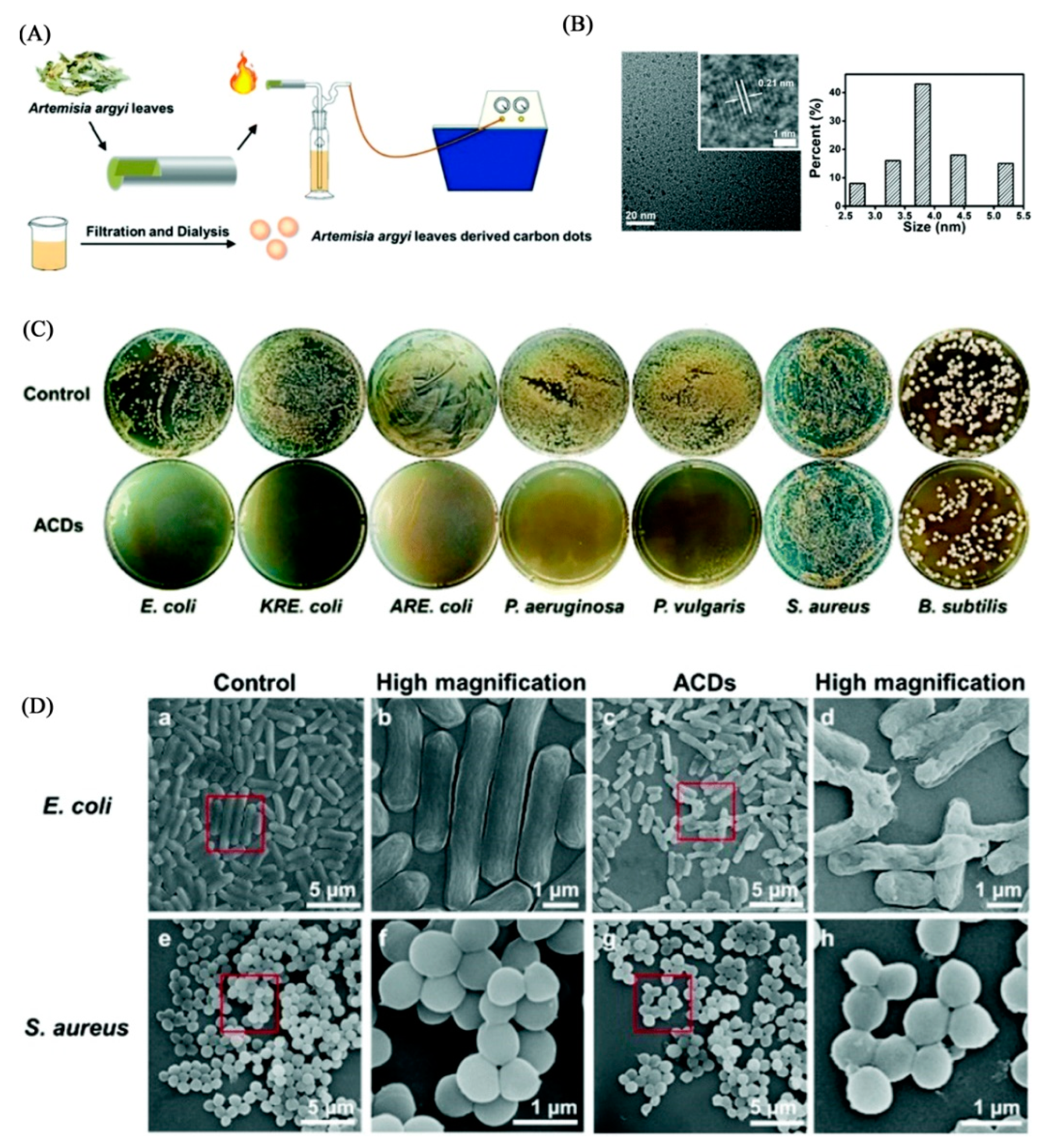 Pharmaceuticals 15 01236 g001 Pharmaceuticals 15 01236 g001