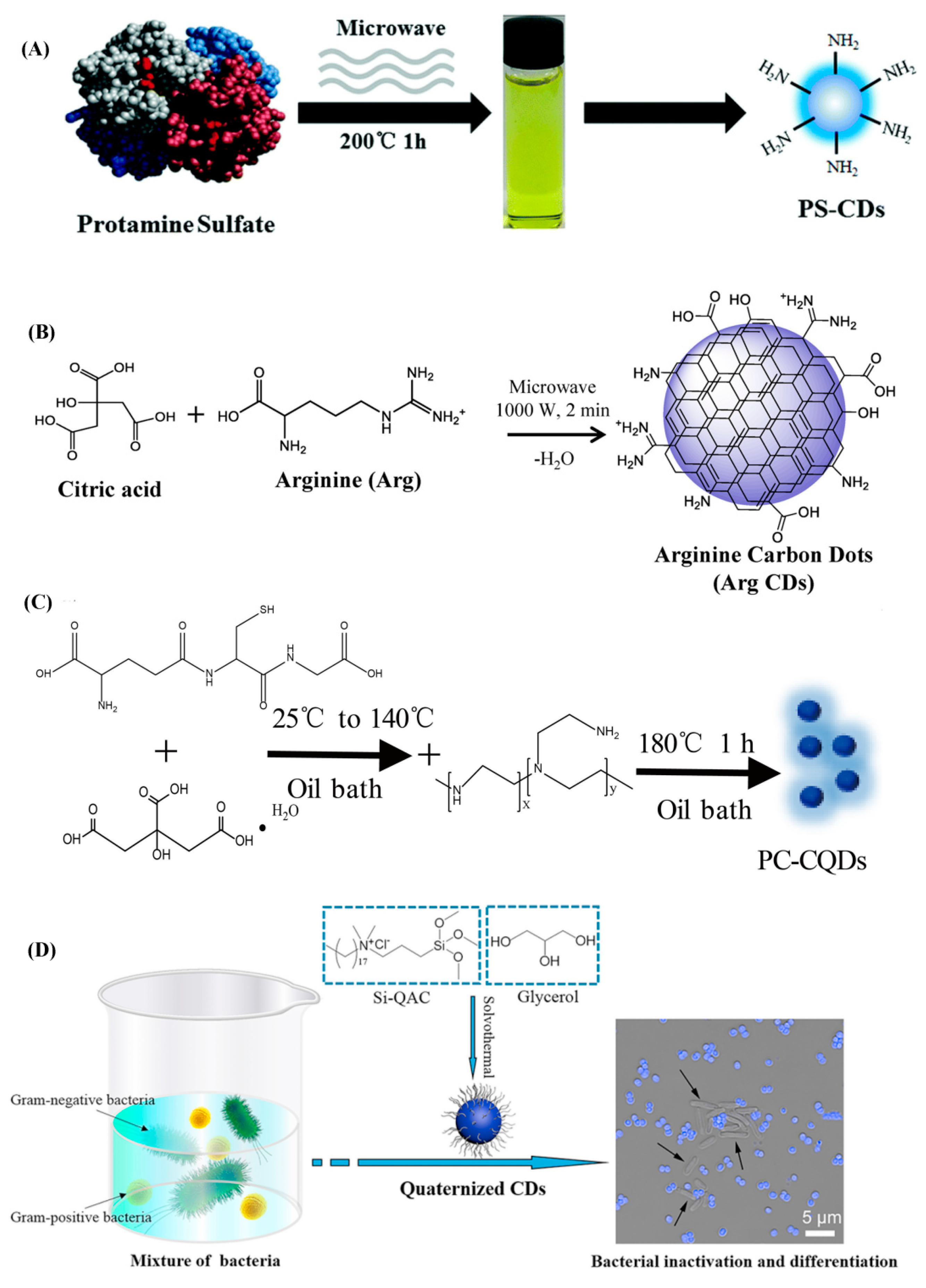 Pharmaceuticals 15 01236 g002 Pharmaceuticals 15 01236 g002